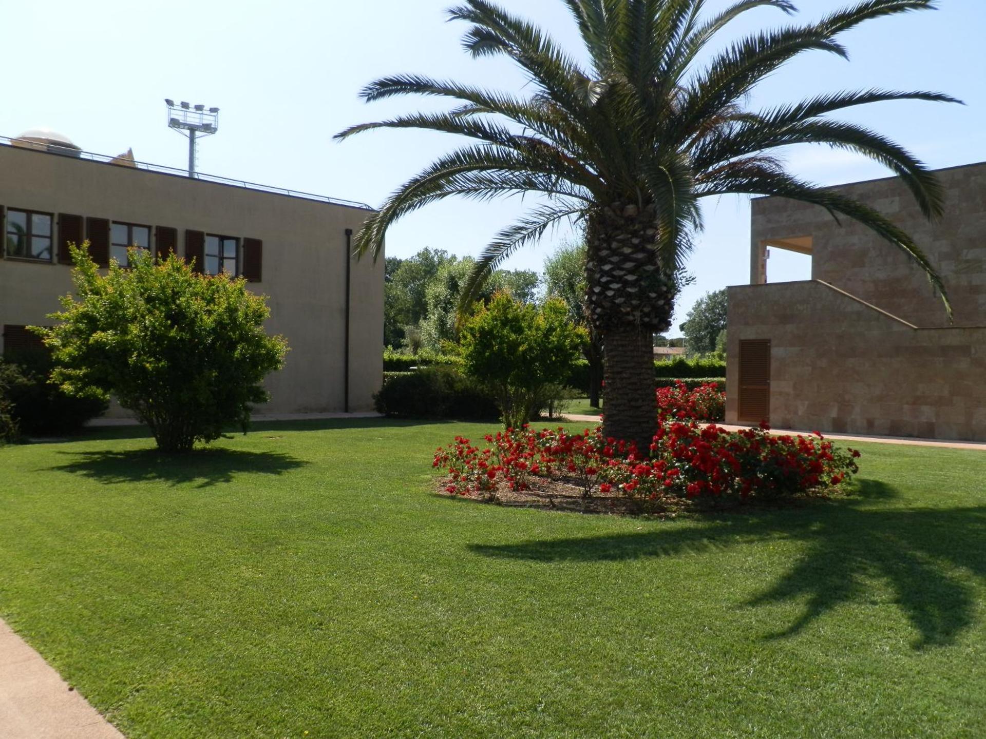 Cosmopolitan Golf & Beach Resort - Photo 11