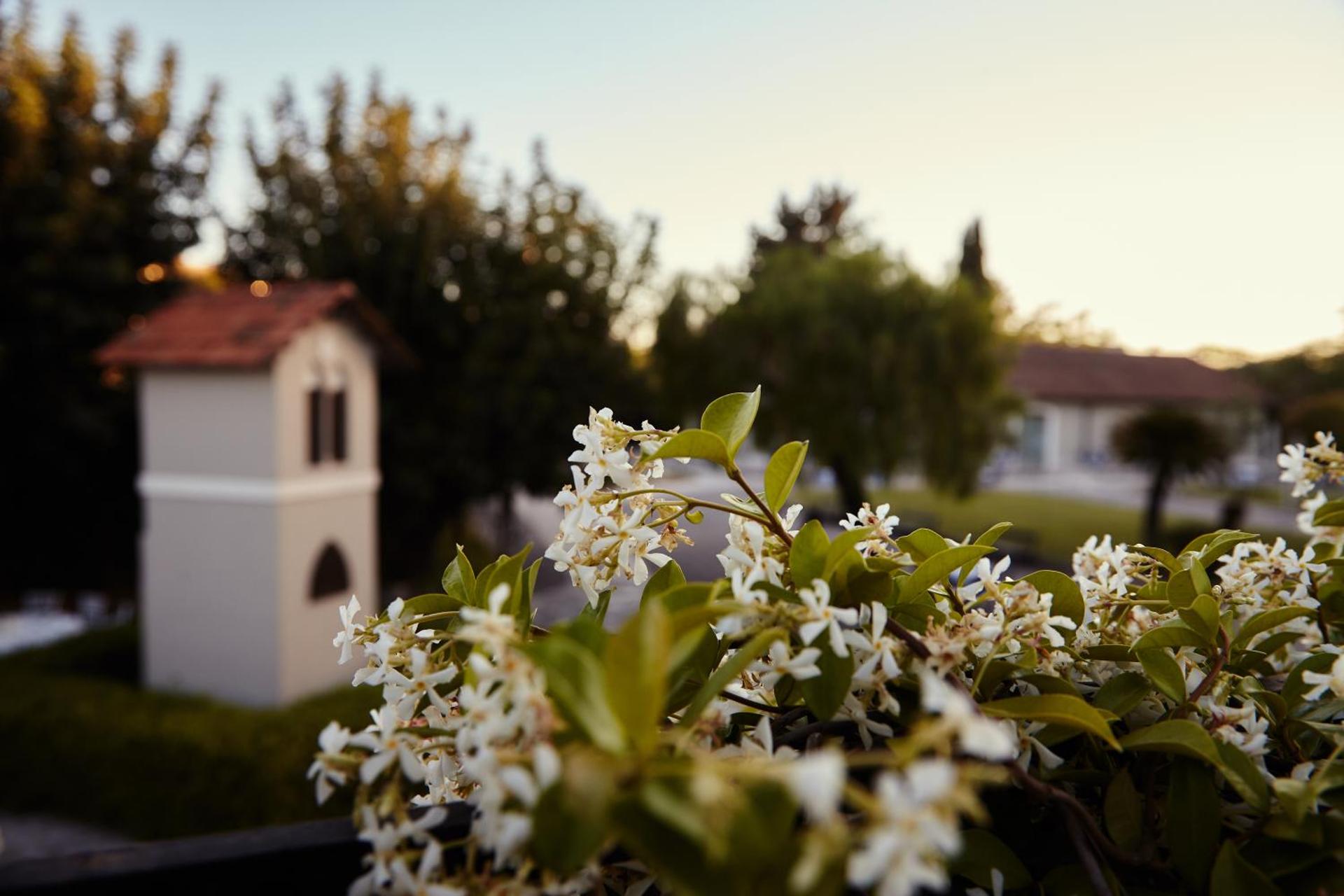 Mercure Villa Romanazzi Carducci Bari - Photo 140