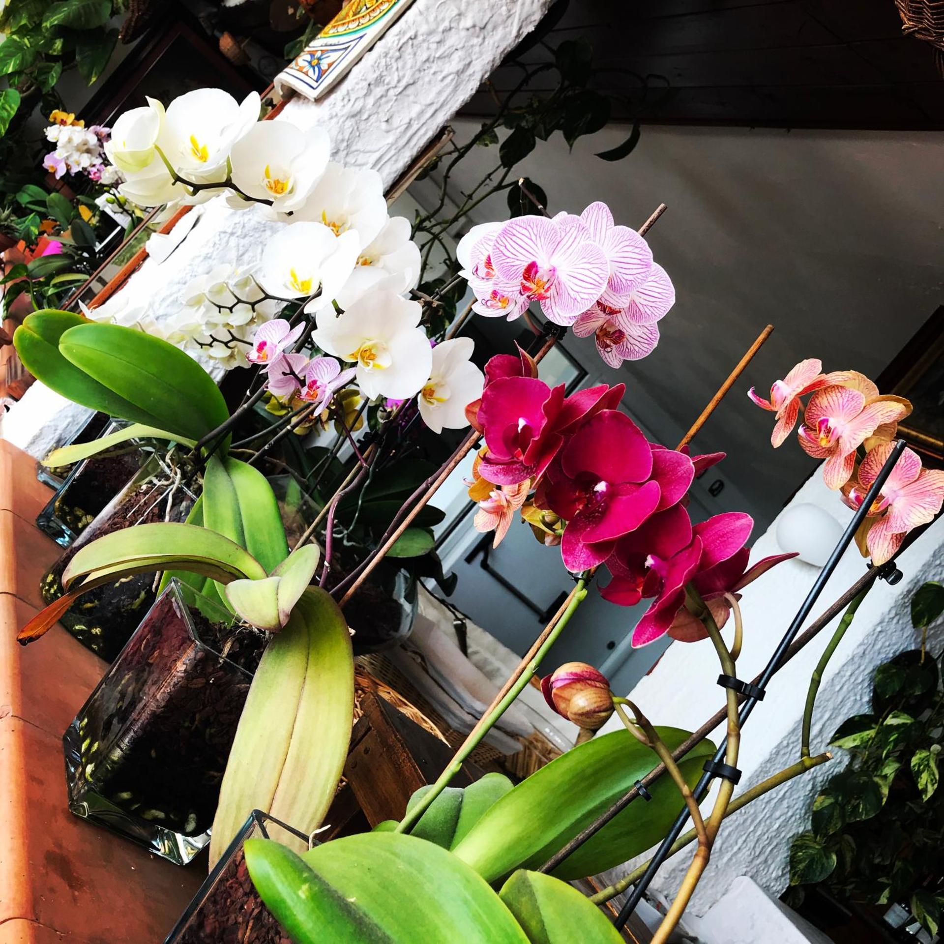 Villa Greta Hotel Rooms & Suites - Photo 91