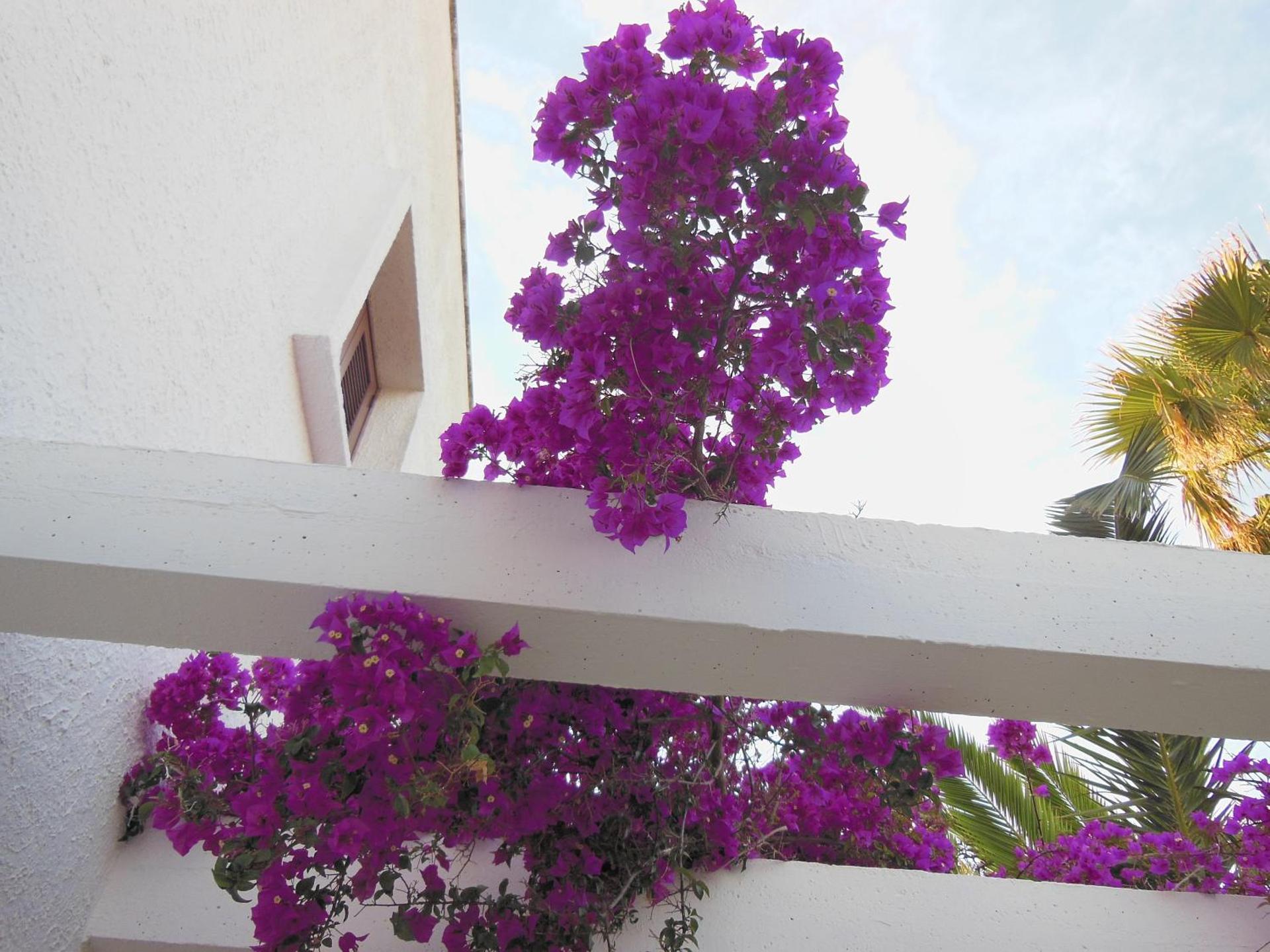 Residence Club Barbara - Photo 56