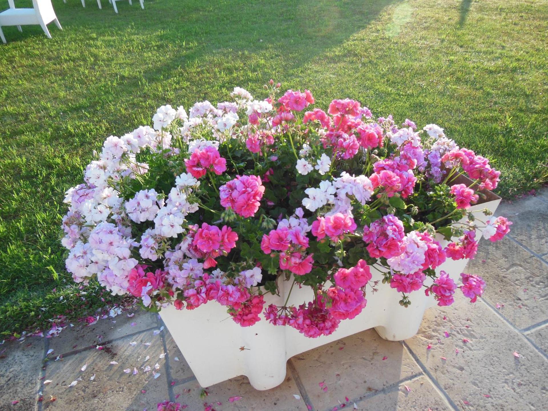 Residence Club Barbara - Photo 57