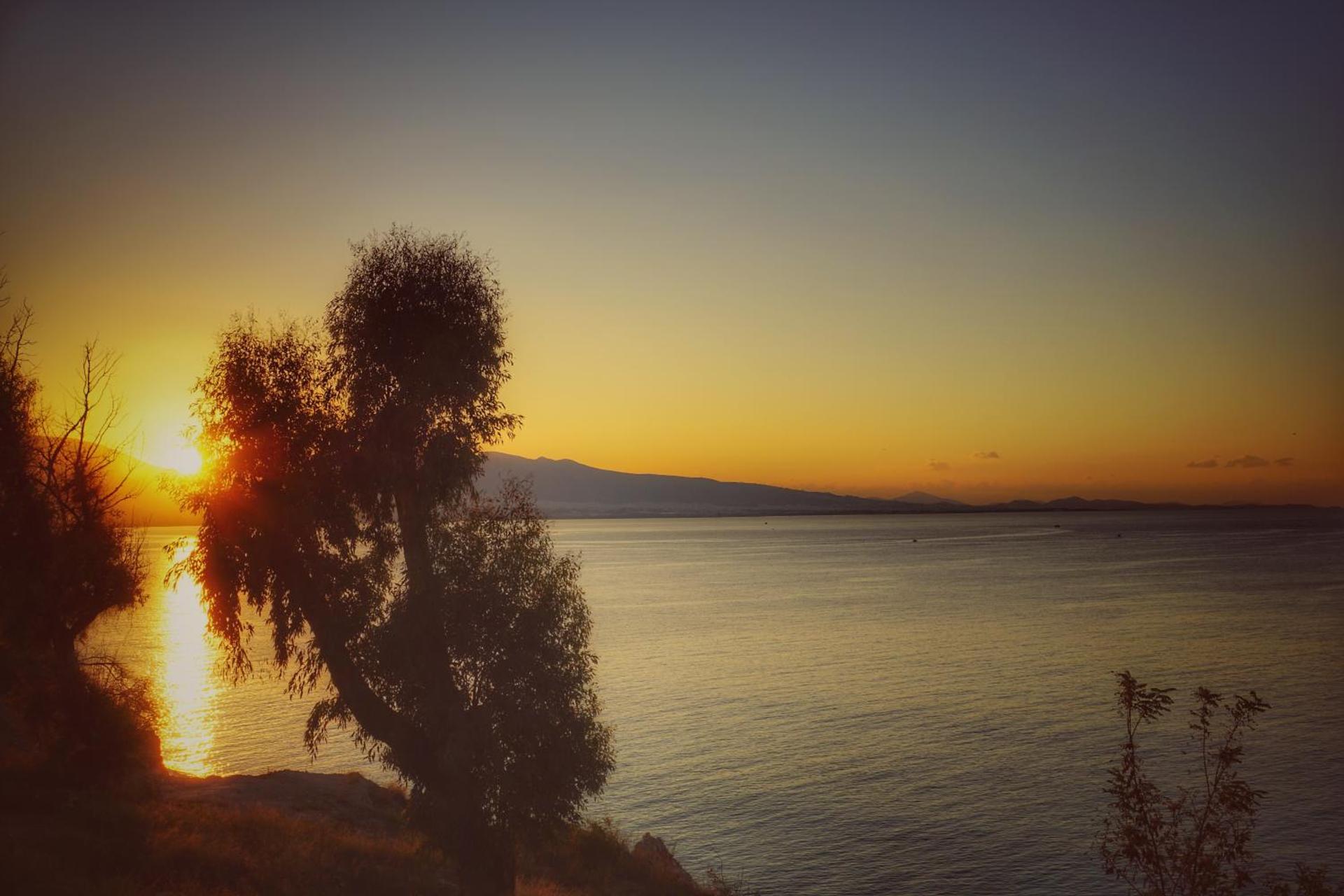 Seaview apartment - Photo 47