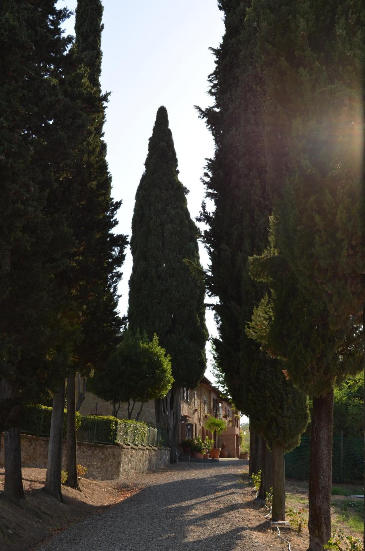 Il Casale Del Cotone - Photo 109