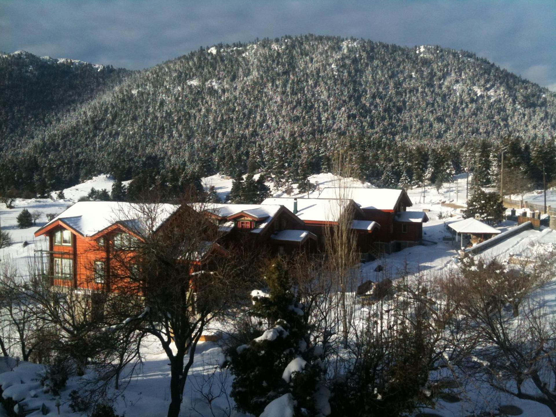 Boutique Hotel Skamnos Arachova - Photo 131