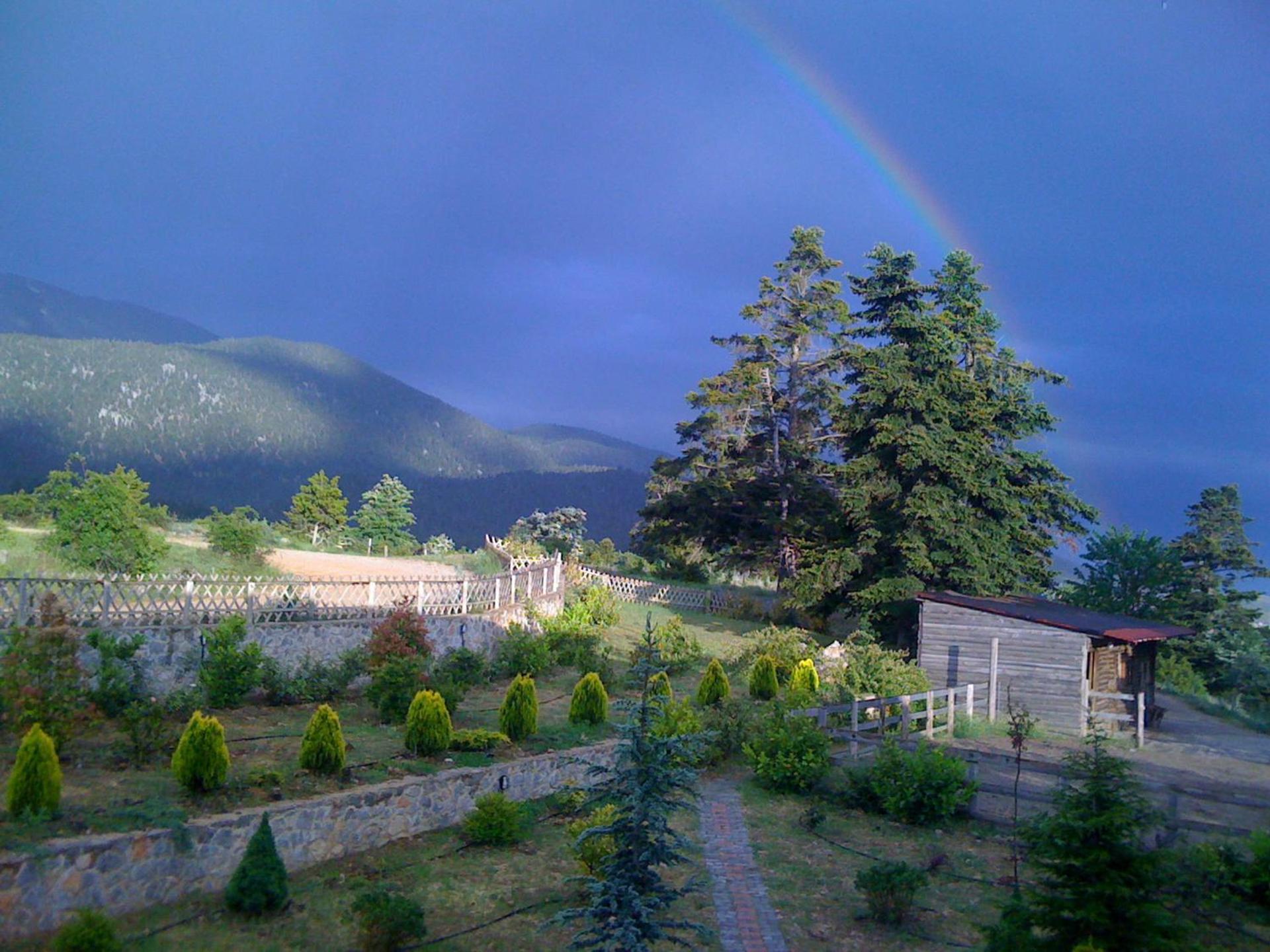 Boutique Hotel Skamnos Arachova - Photo 129