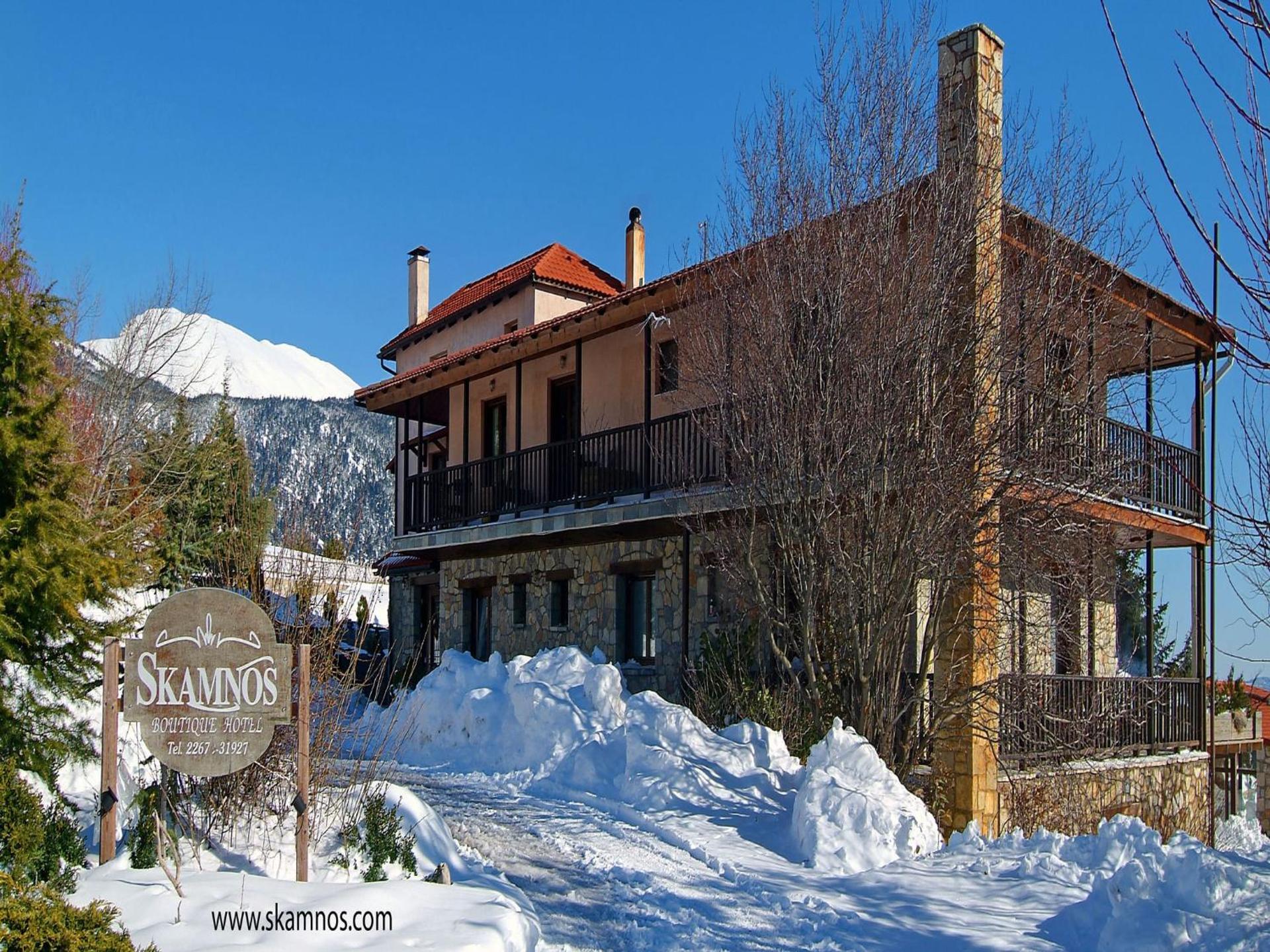 Boutique Hotel Skamnos Arachova - Photo 128