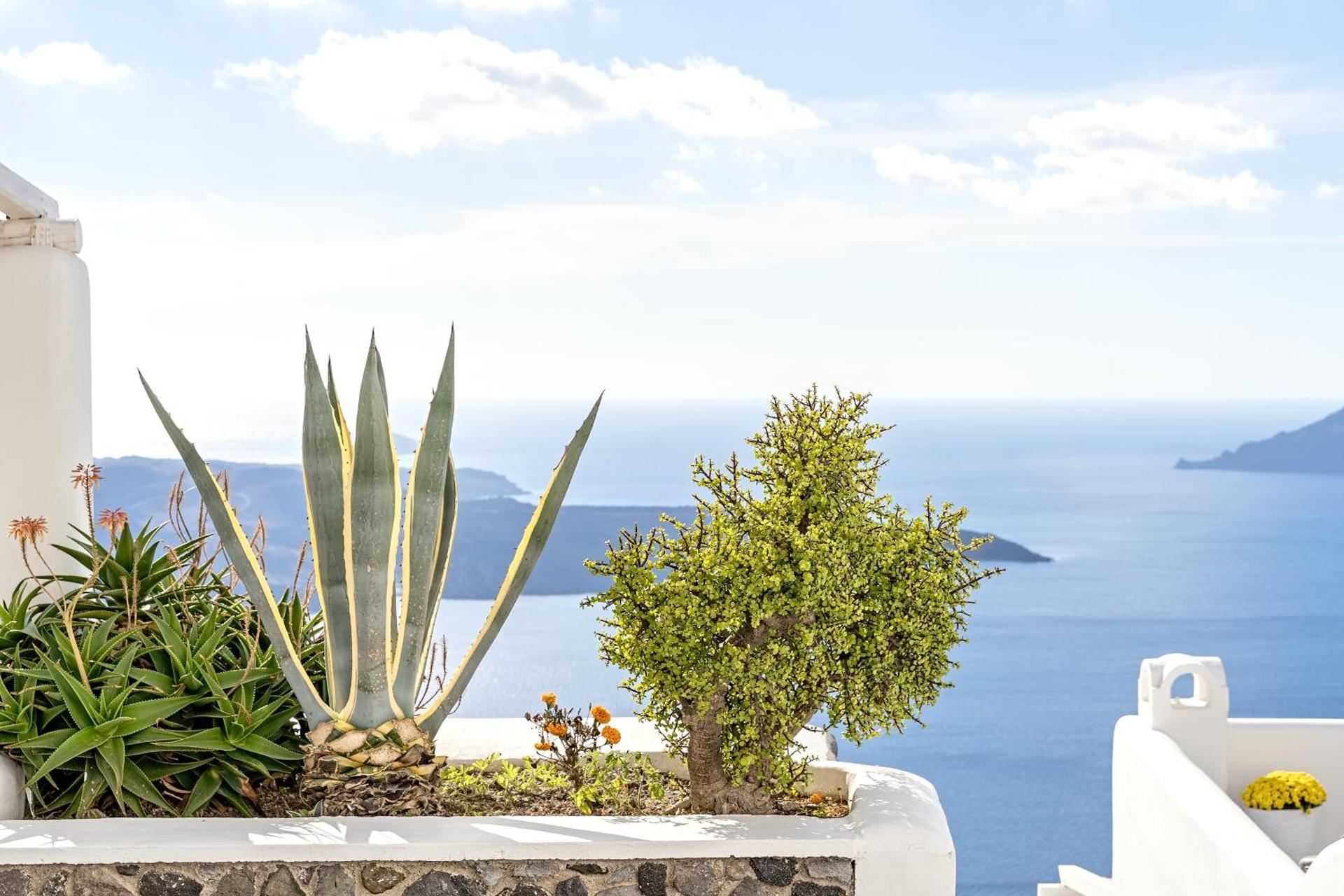 Agali Houses - Photo 168