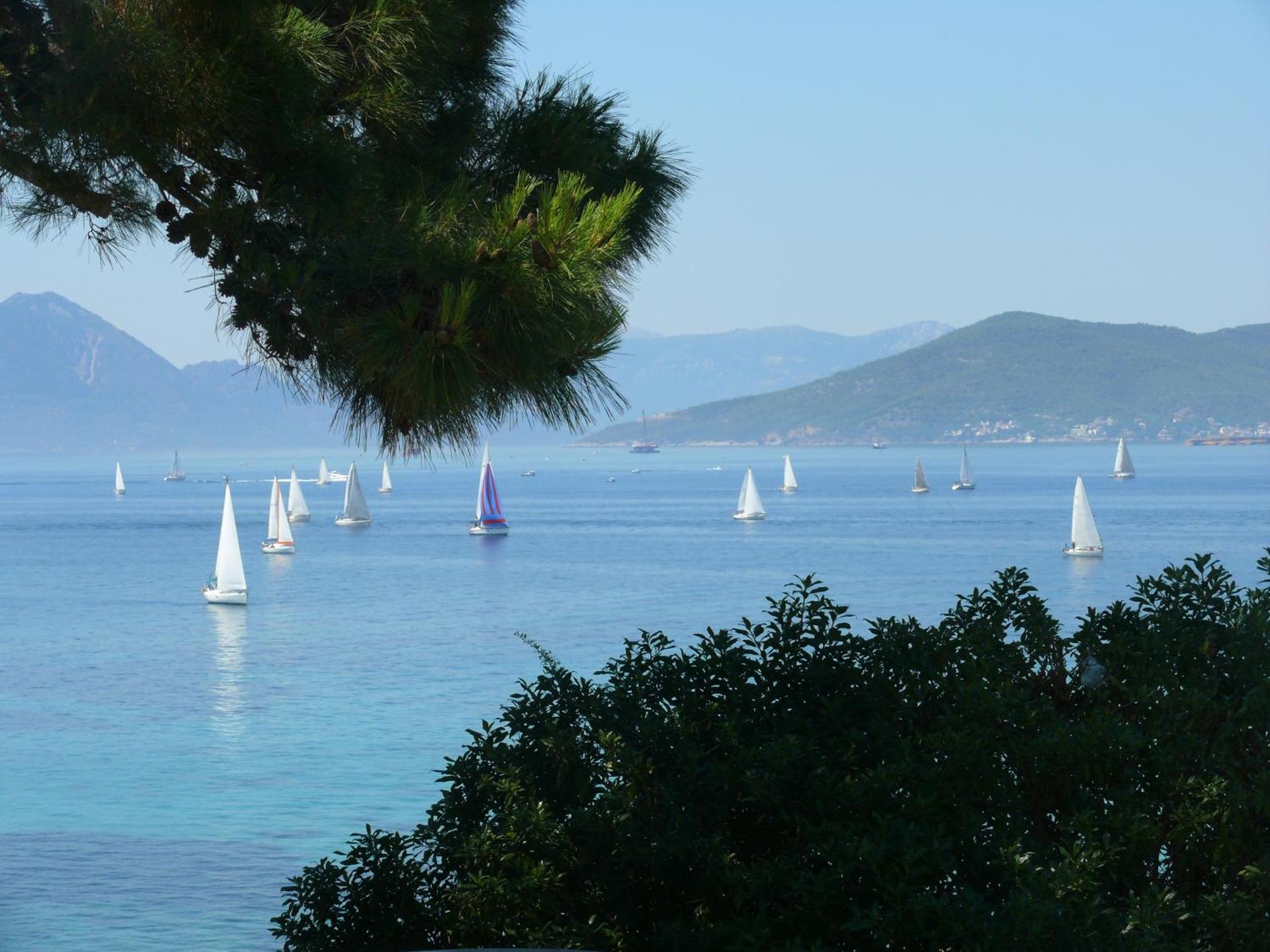 Danae Hotel - Photo 23