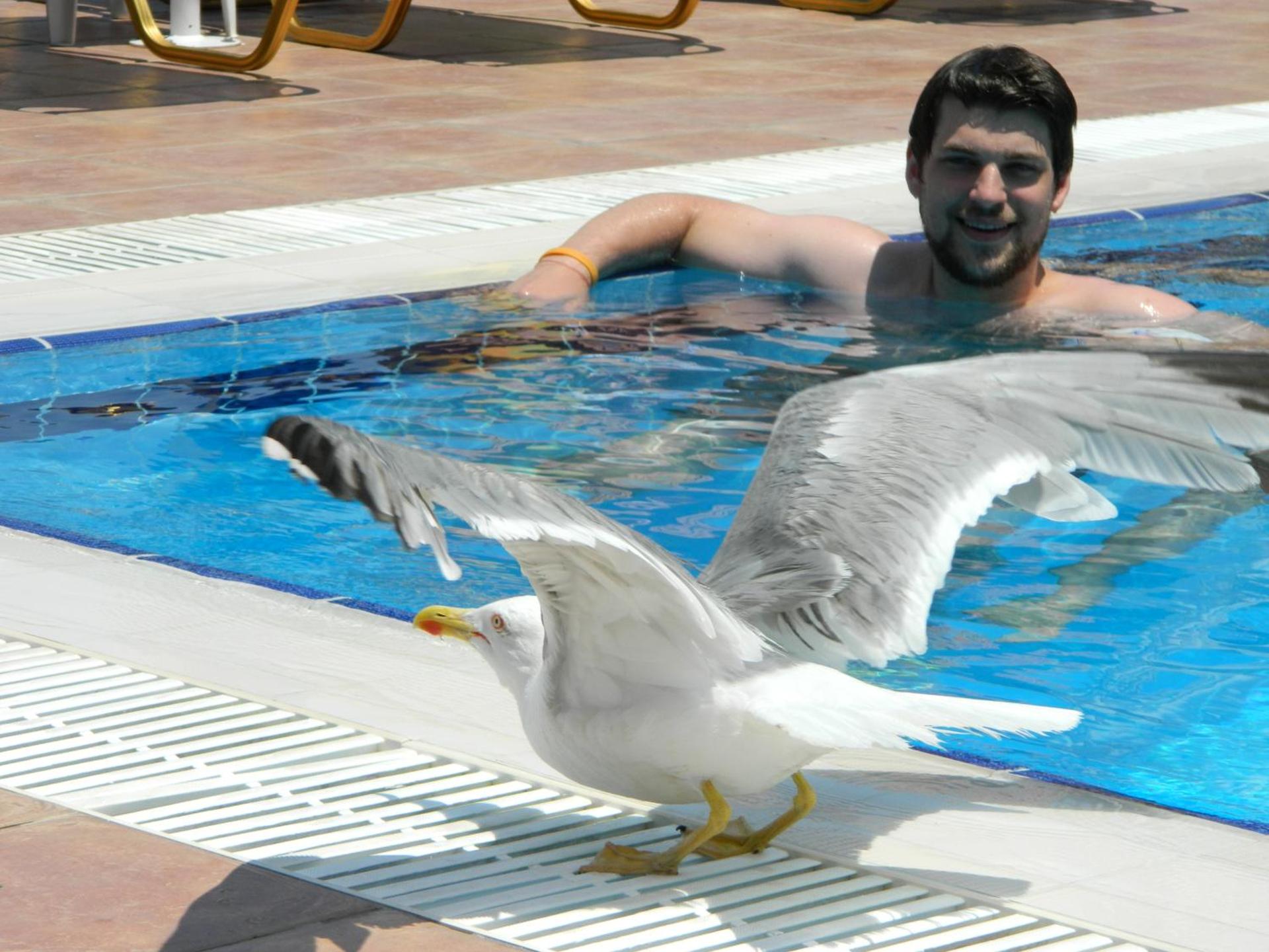 Hotel Andreas - Agistri (Skala) - Photo 24