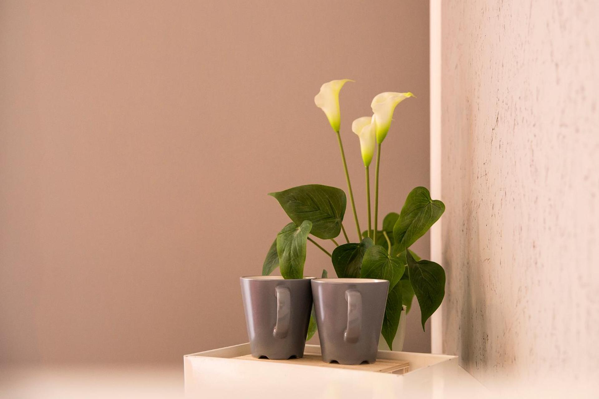 Dulcis In Fundo b&b - Photo 27