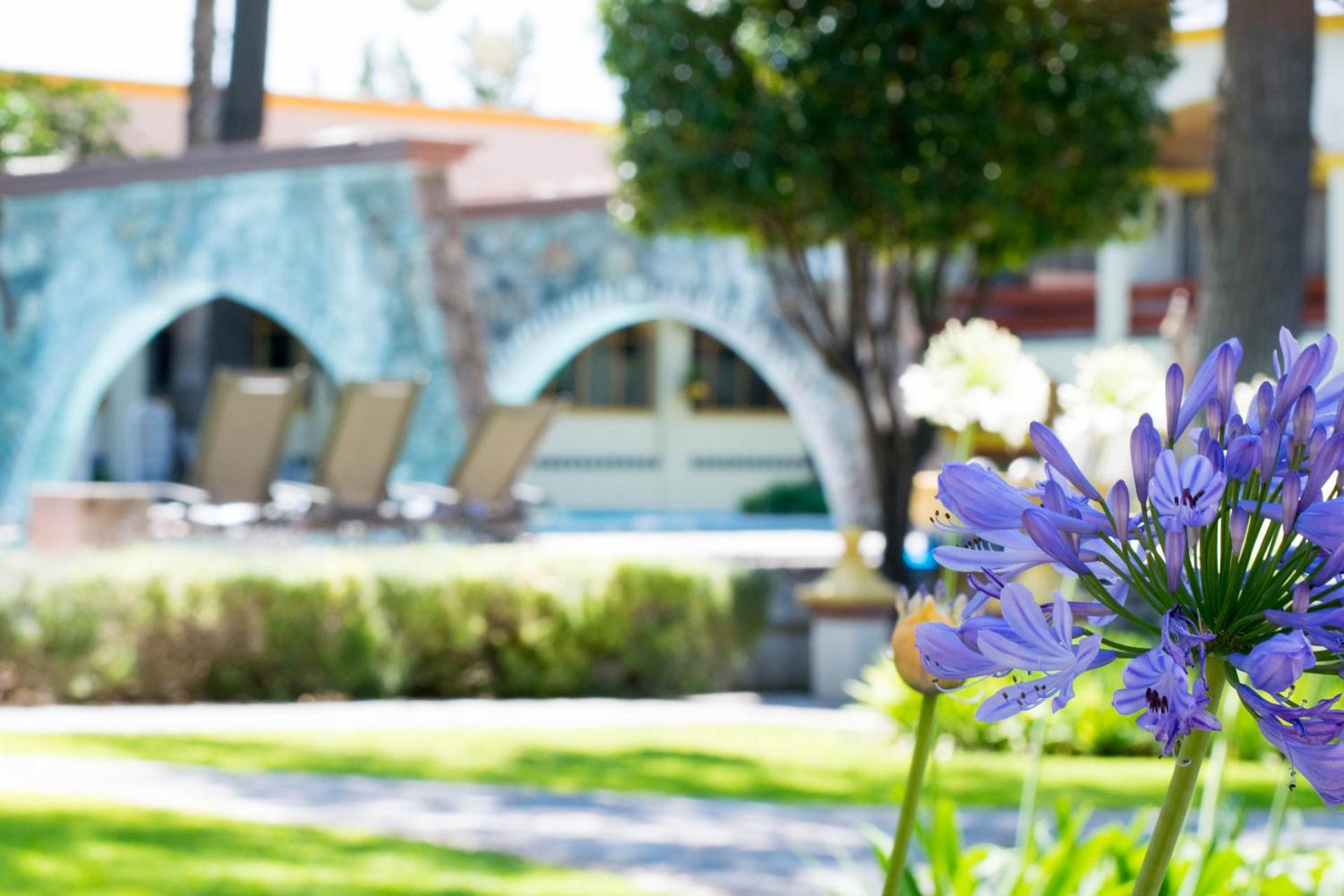 Imperio De Angeles - Photo 94