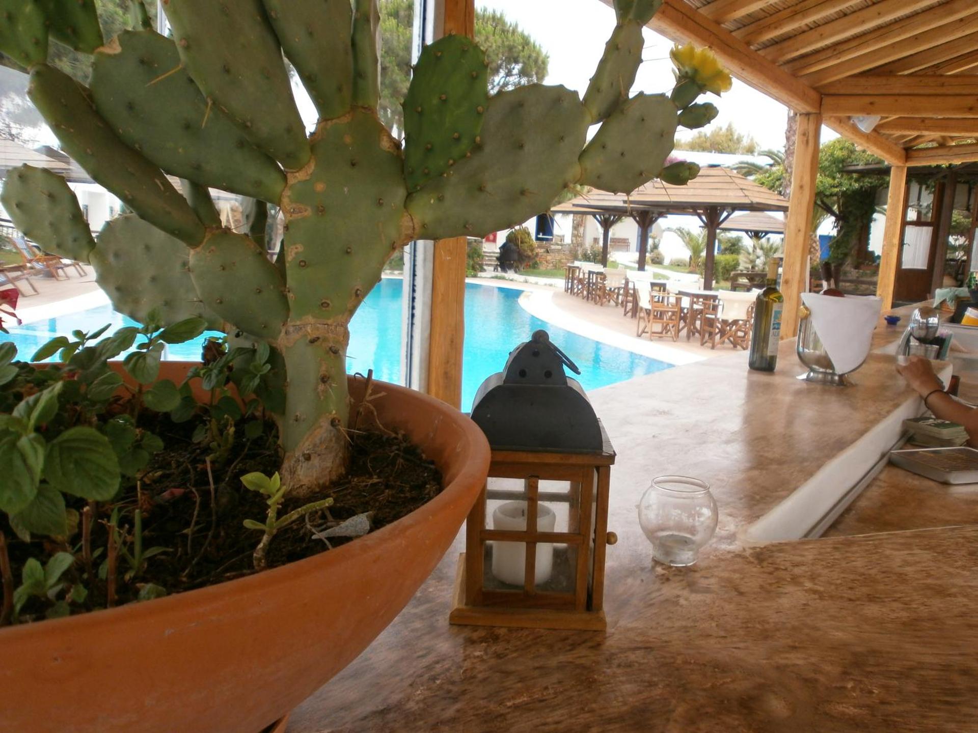 Alkyoni Beach Hotel - Photo 117