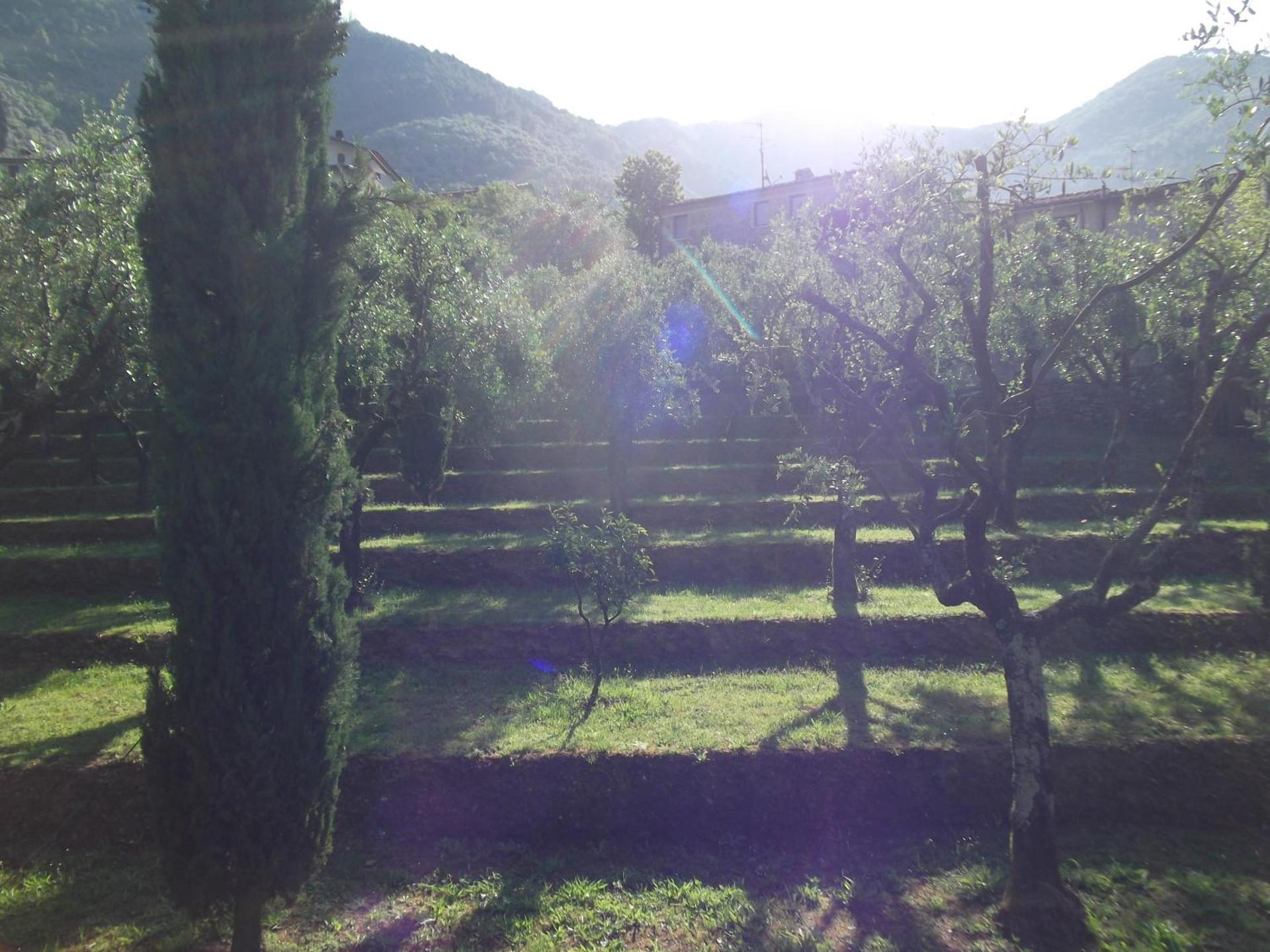 L'Arcadia - Photo 25