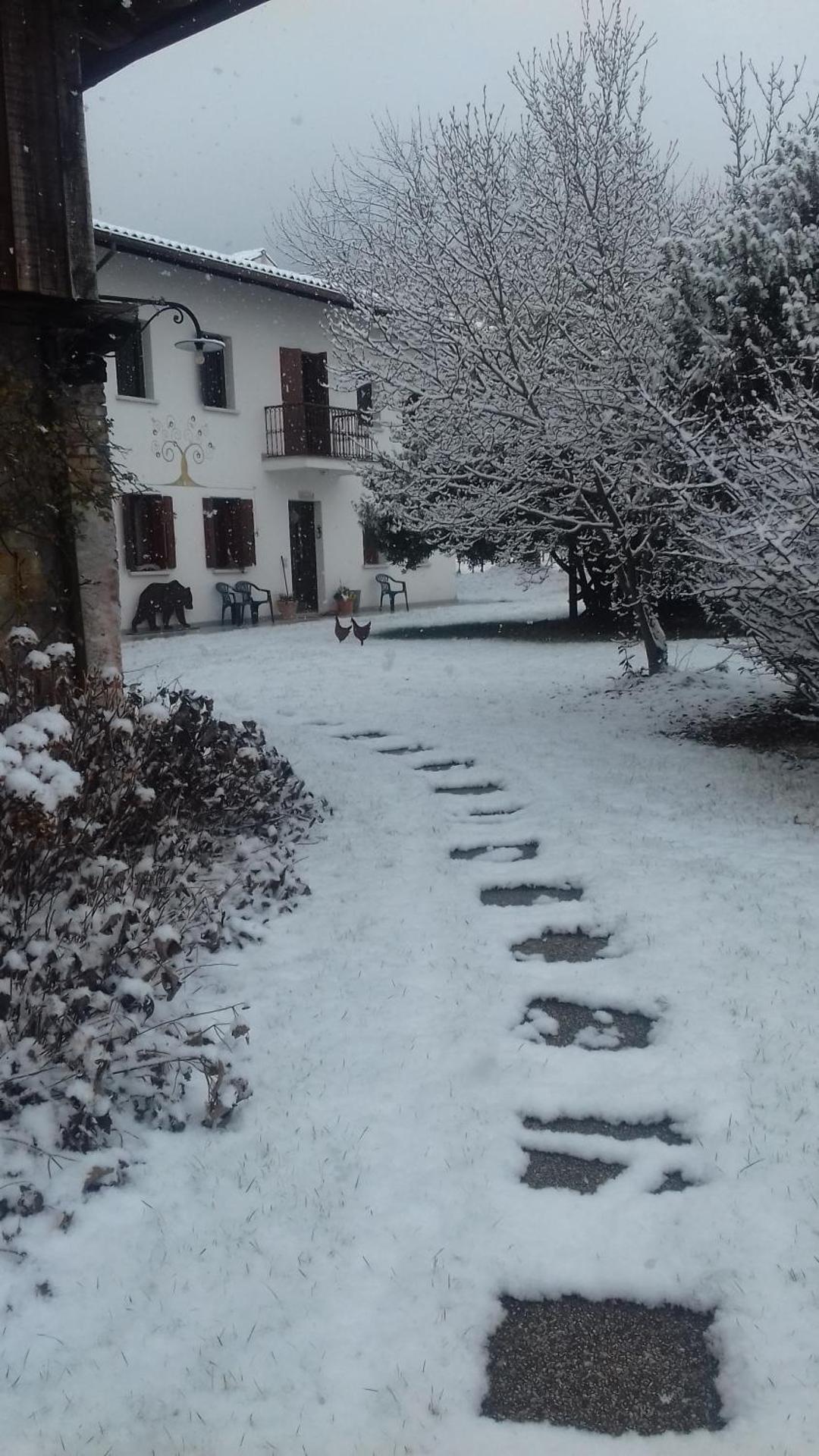 B&B Castellani - Photo 6