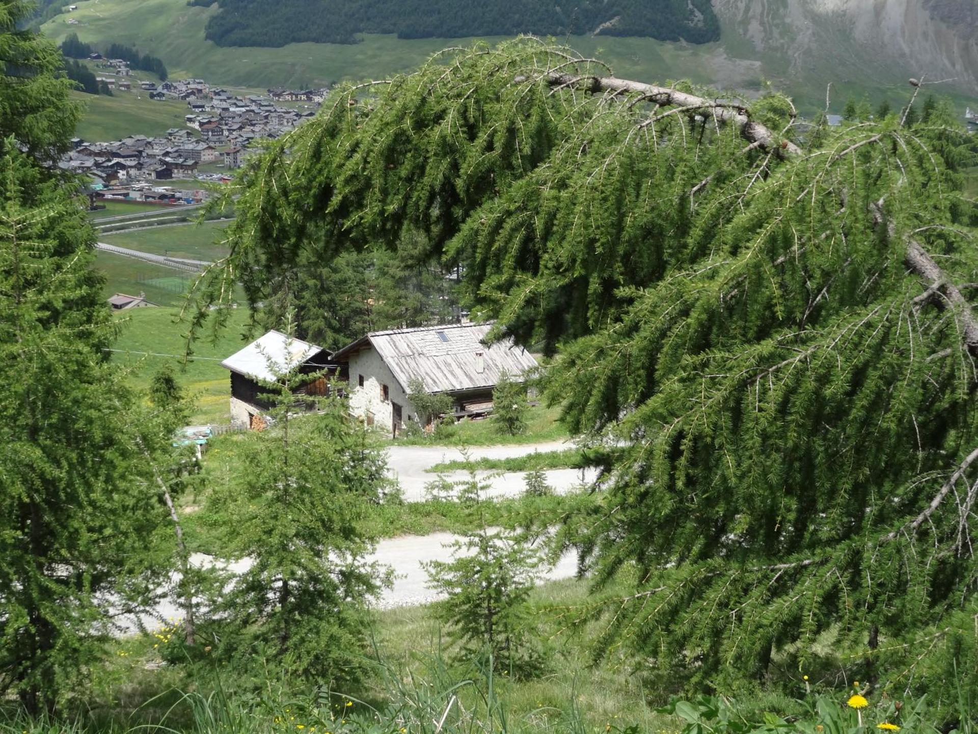 Hotel Marzia - Photo 24