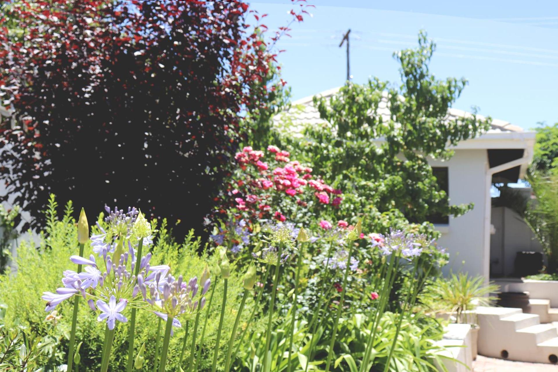 Tribute Guest House Matala - Photo 20