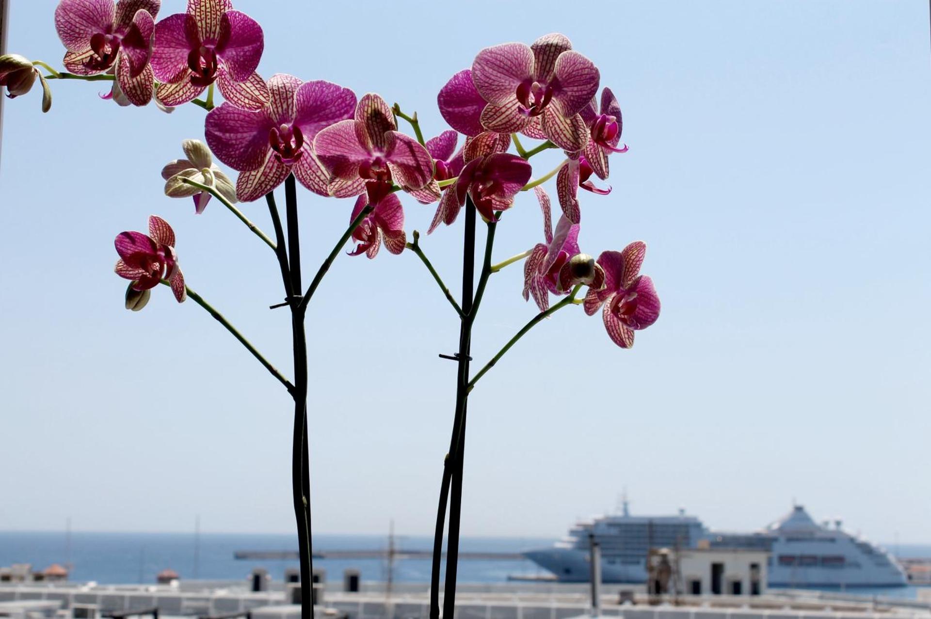 Savoy City Hotel - Photo 19