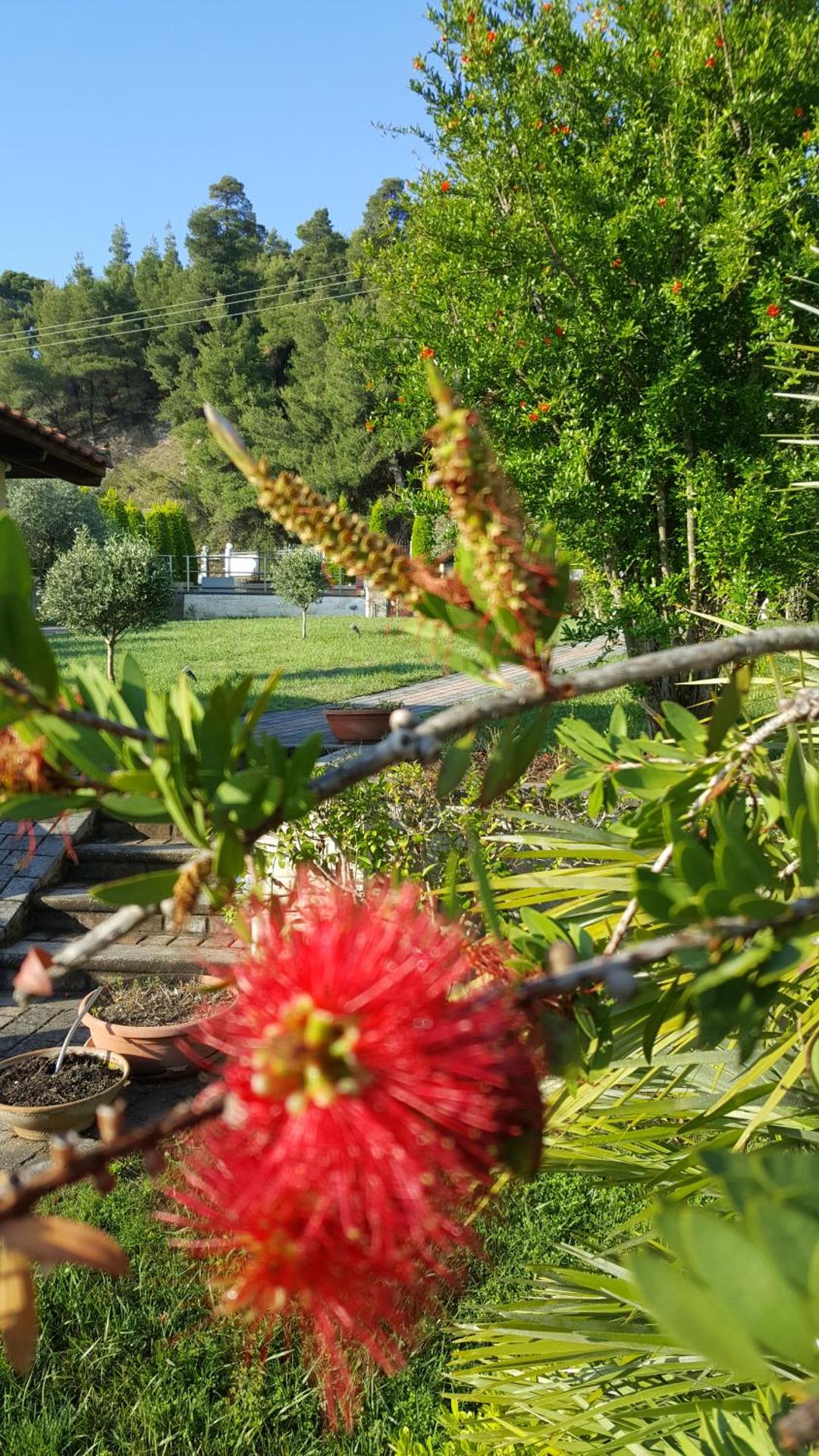 SUN RESIDENCE Exclusive Seaside Suites - Photo 72