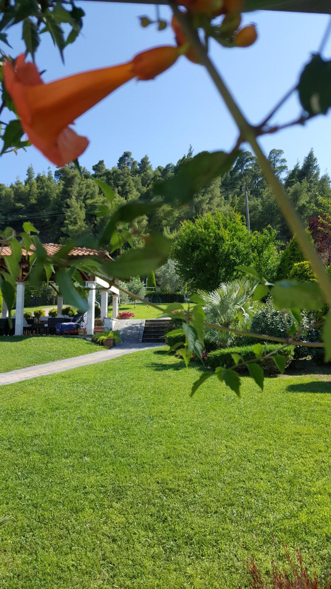 SUN RESIDENCE Exclusive Seaside Suites - Photo 51