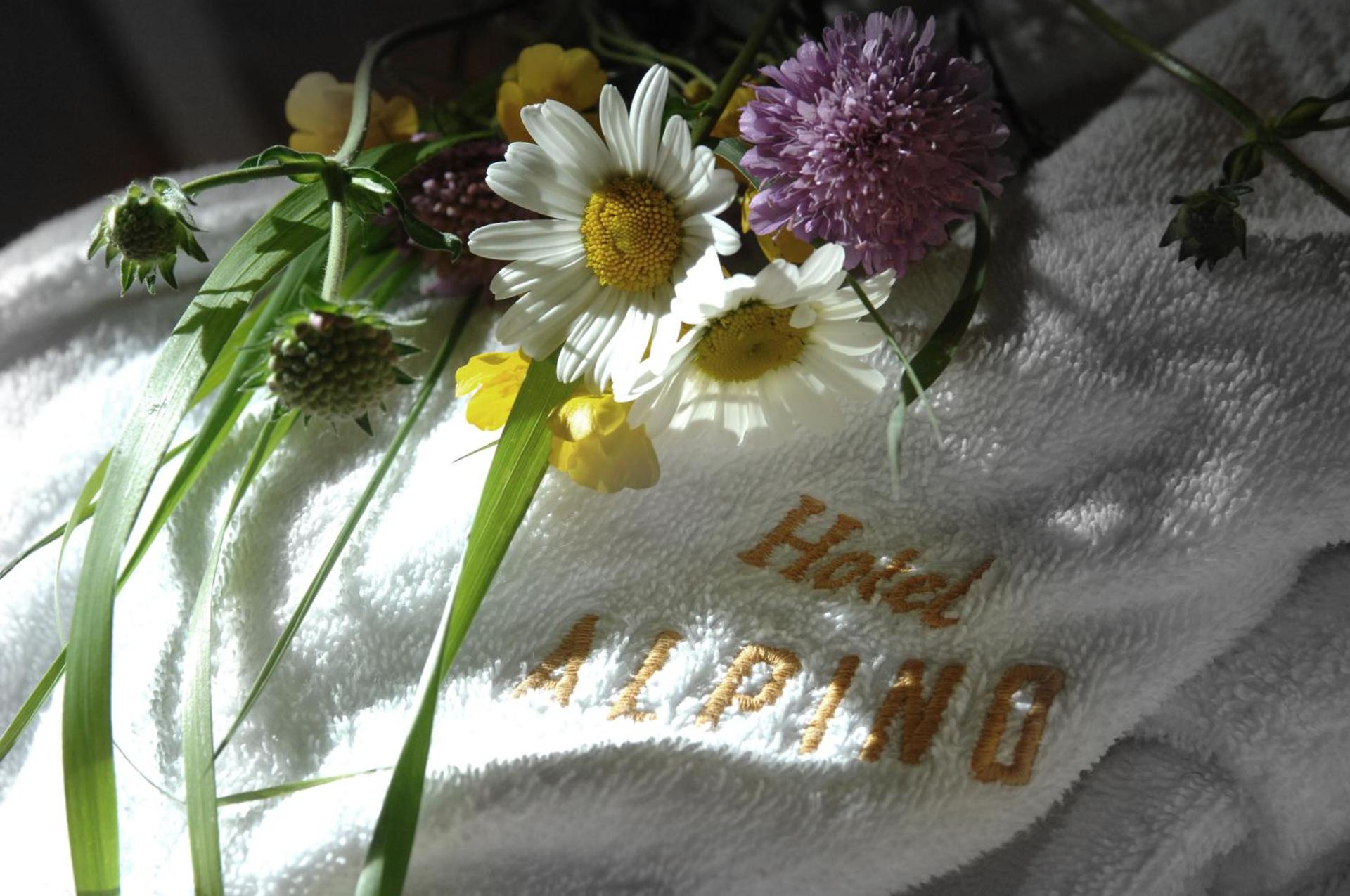 Hotel Alpino - Photo 54