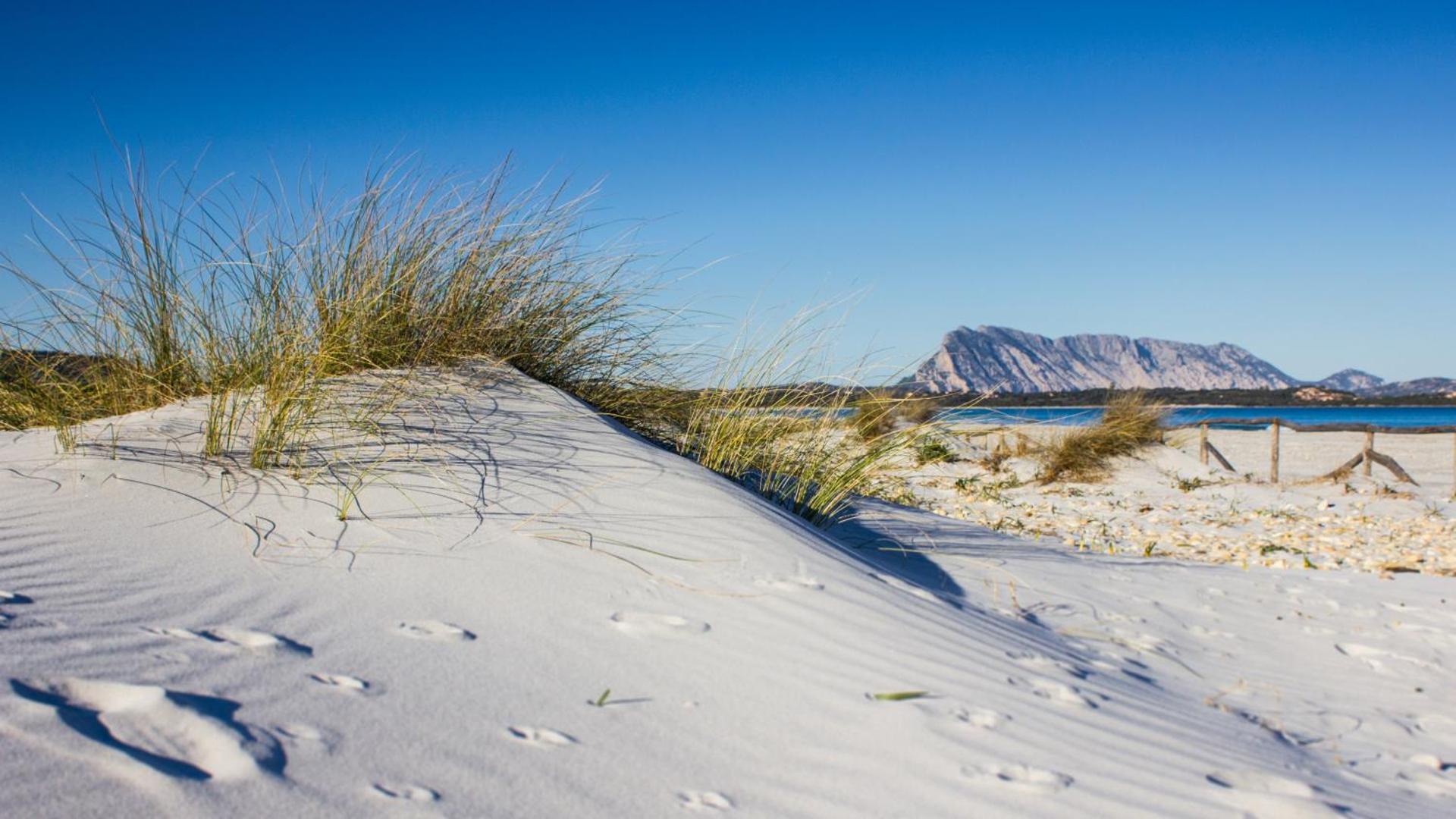 Terradimare Resort&Spa - Photo 44