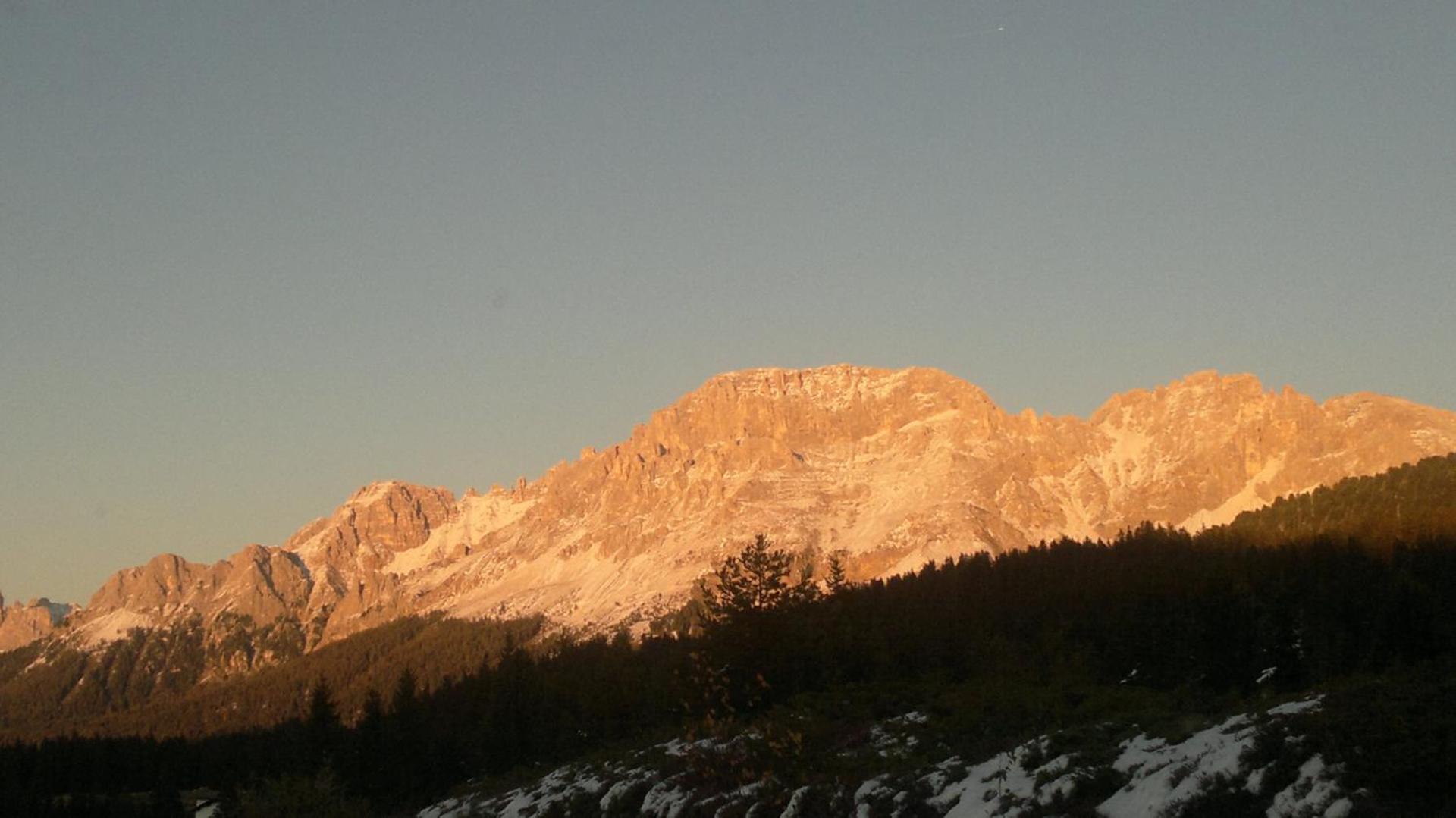 DOLOMITI appart&rooms - Photo 5