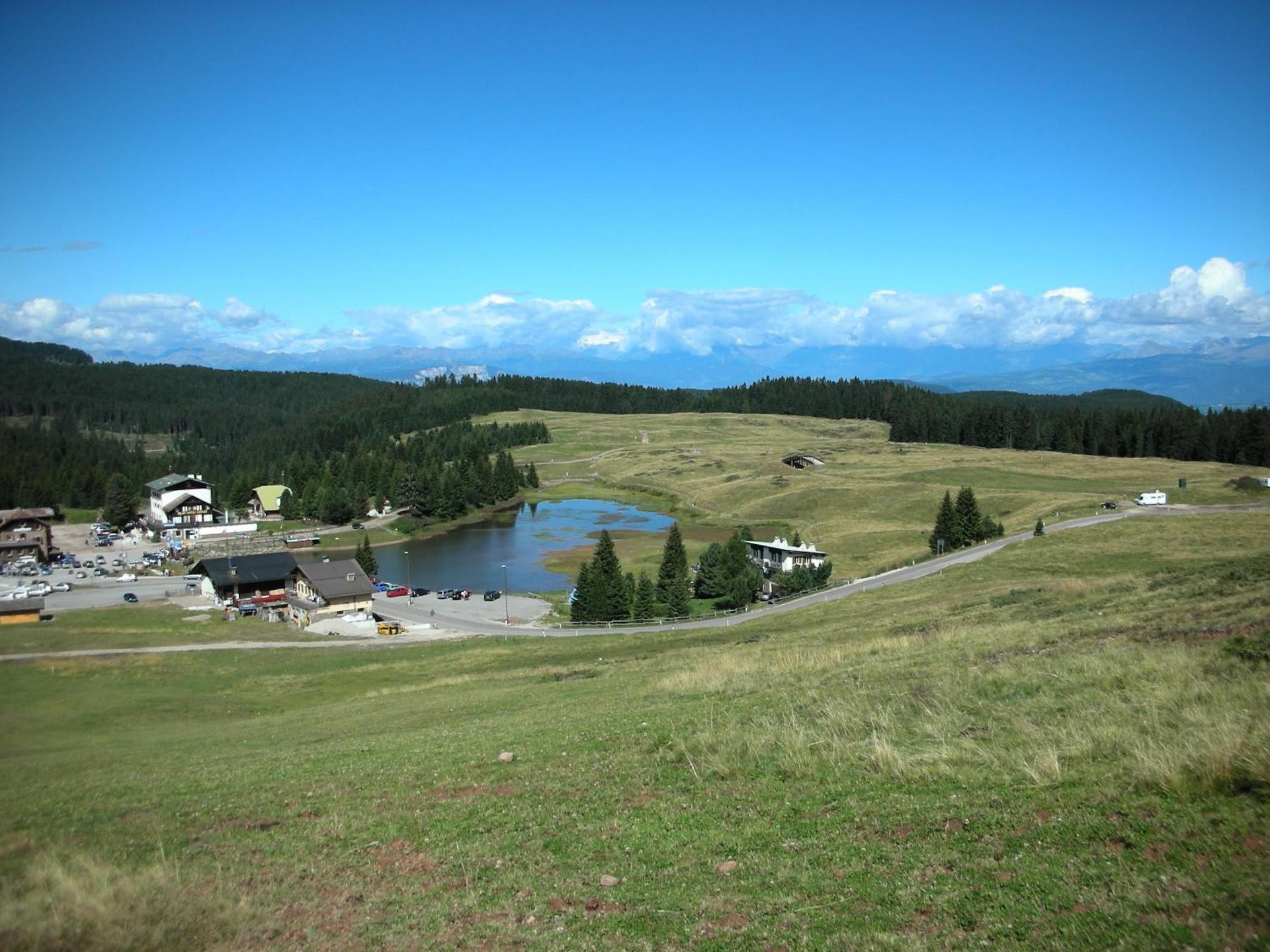 DOLOMITI appart&rooms - Photo 6