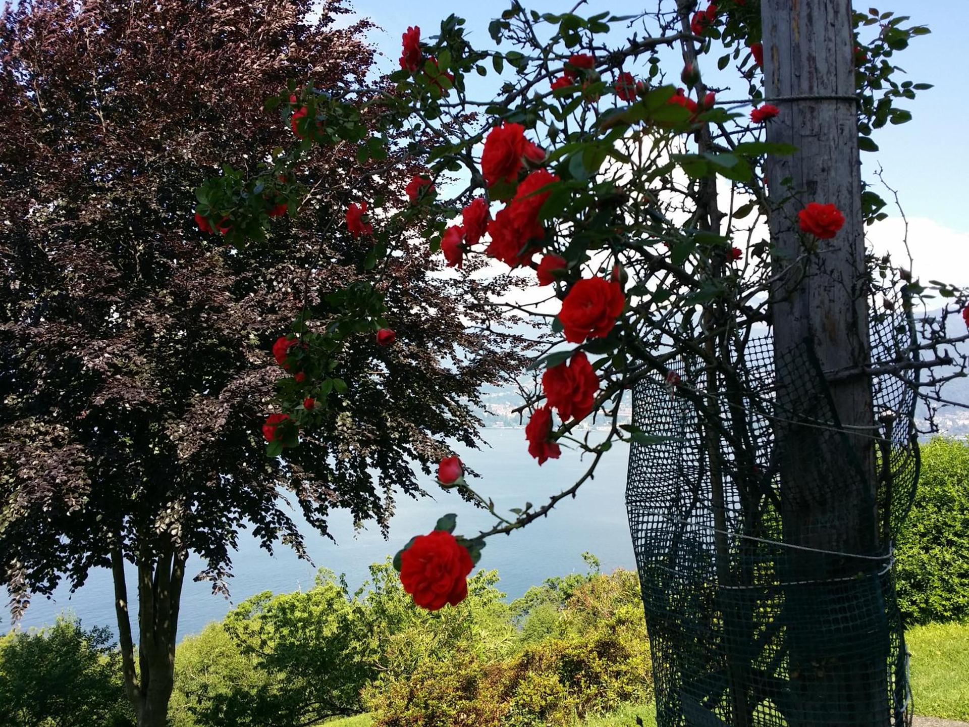 Locanda Pozzetto - Photo 39