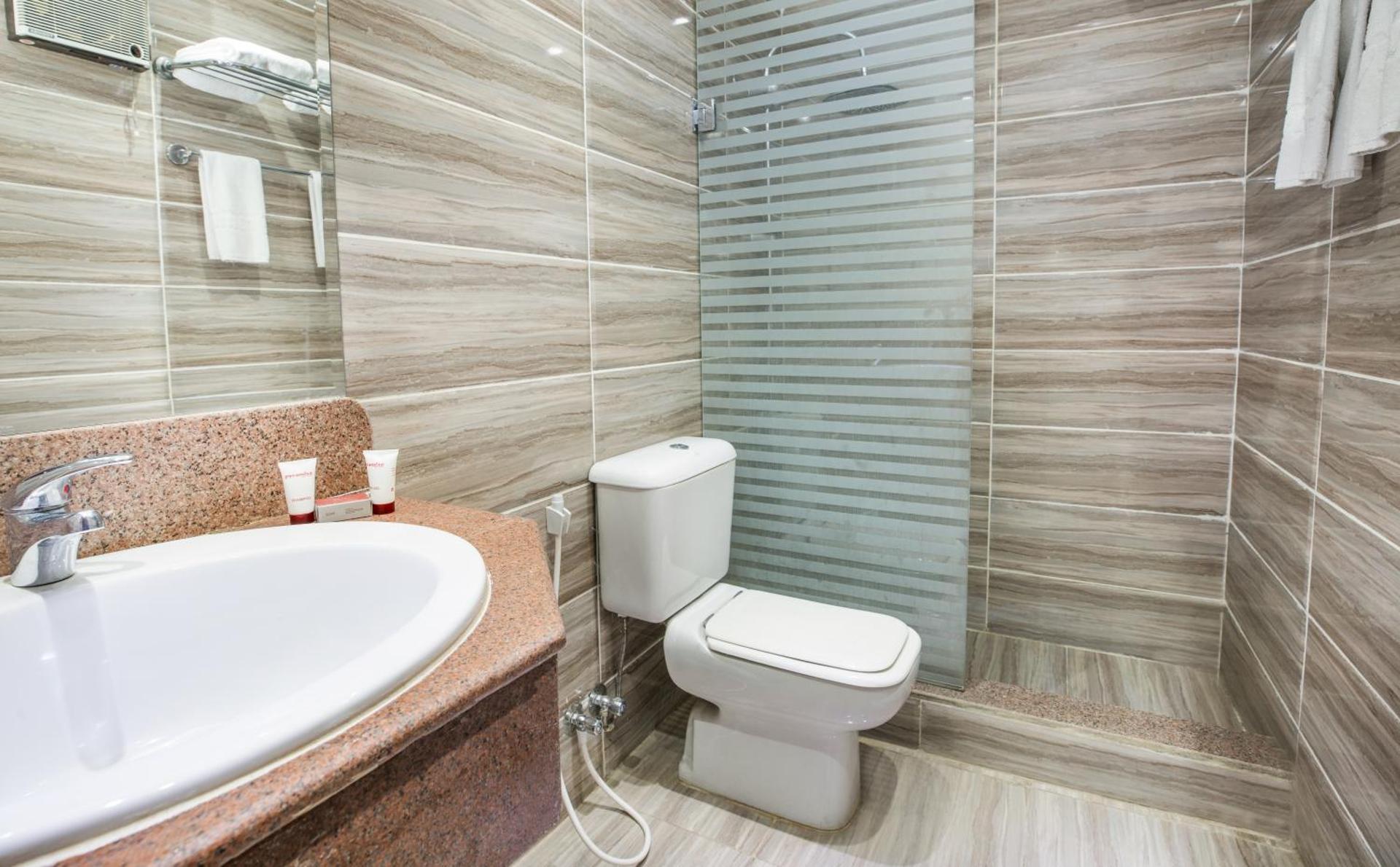 Obelisk Nile Hotel Aswan - Photo 56