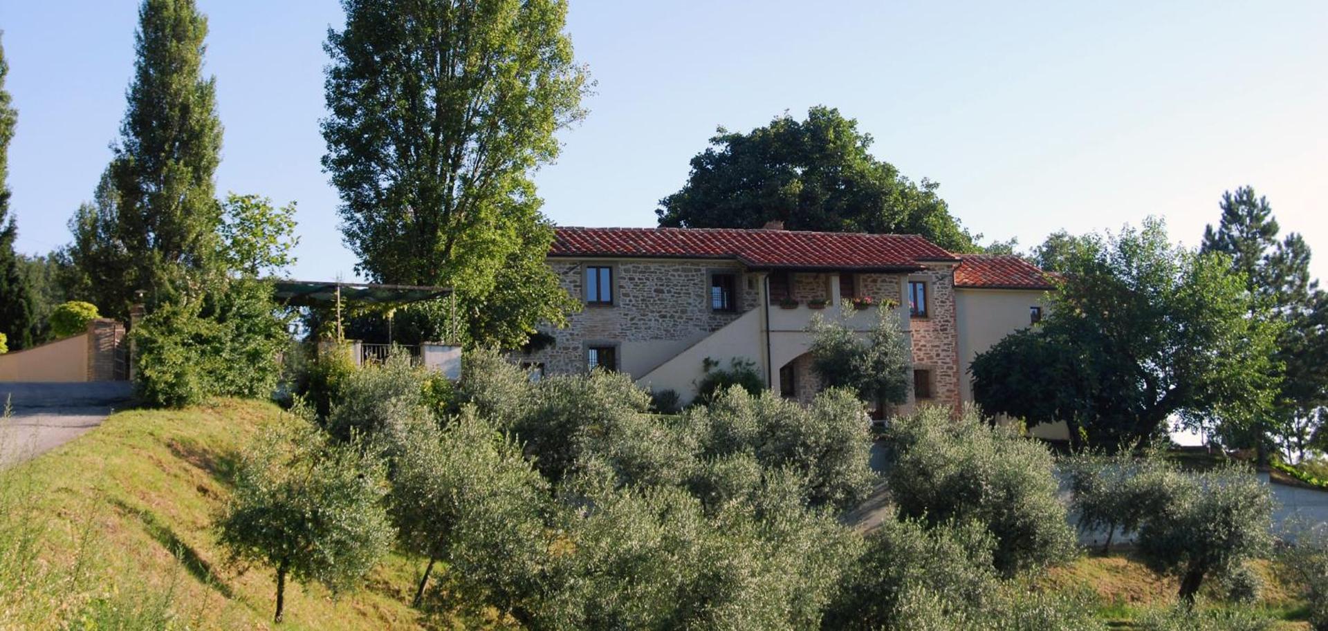 Casale degli ulivi - Photo 56