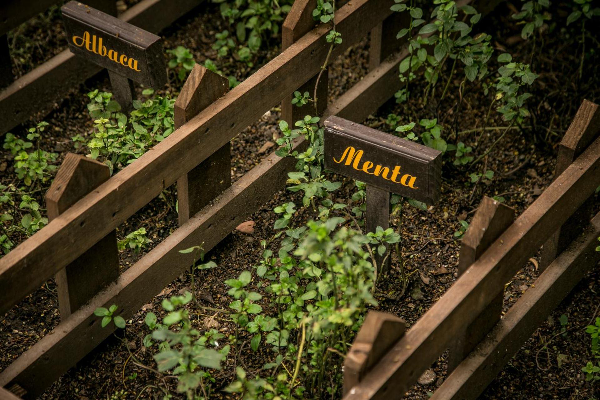 Imperio De Angeles - Photo 48