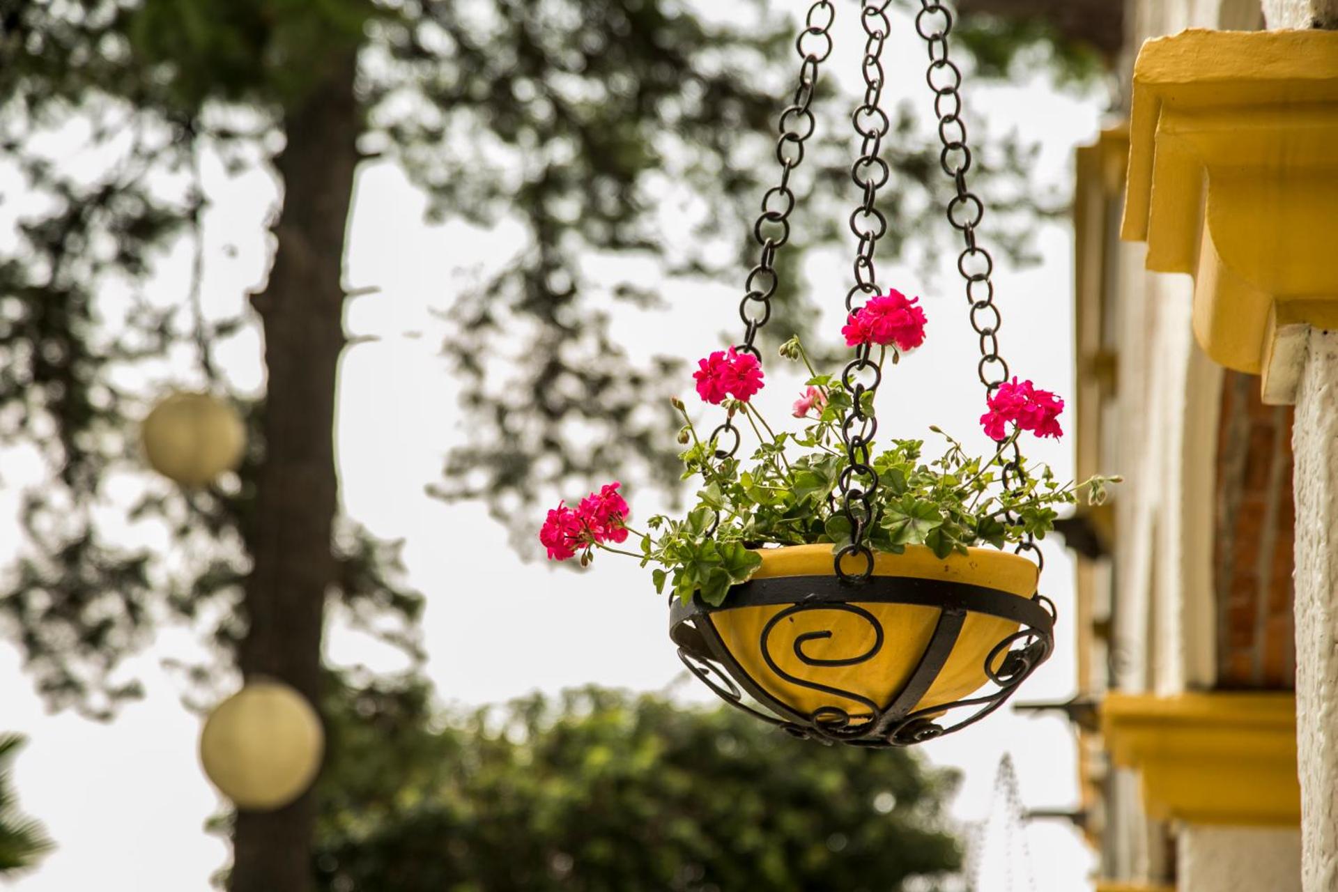 Imperio De Angeles - Photo 60