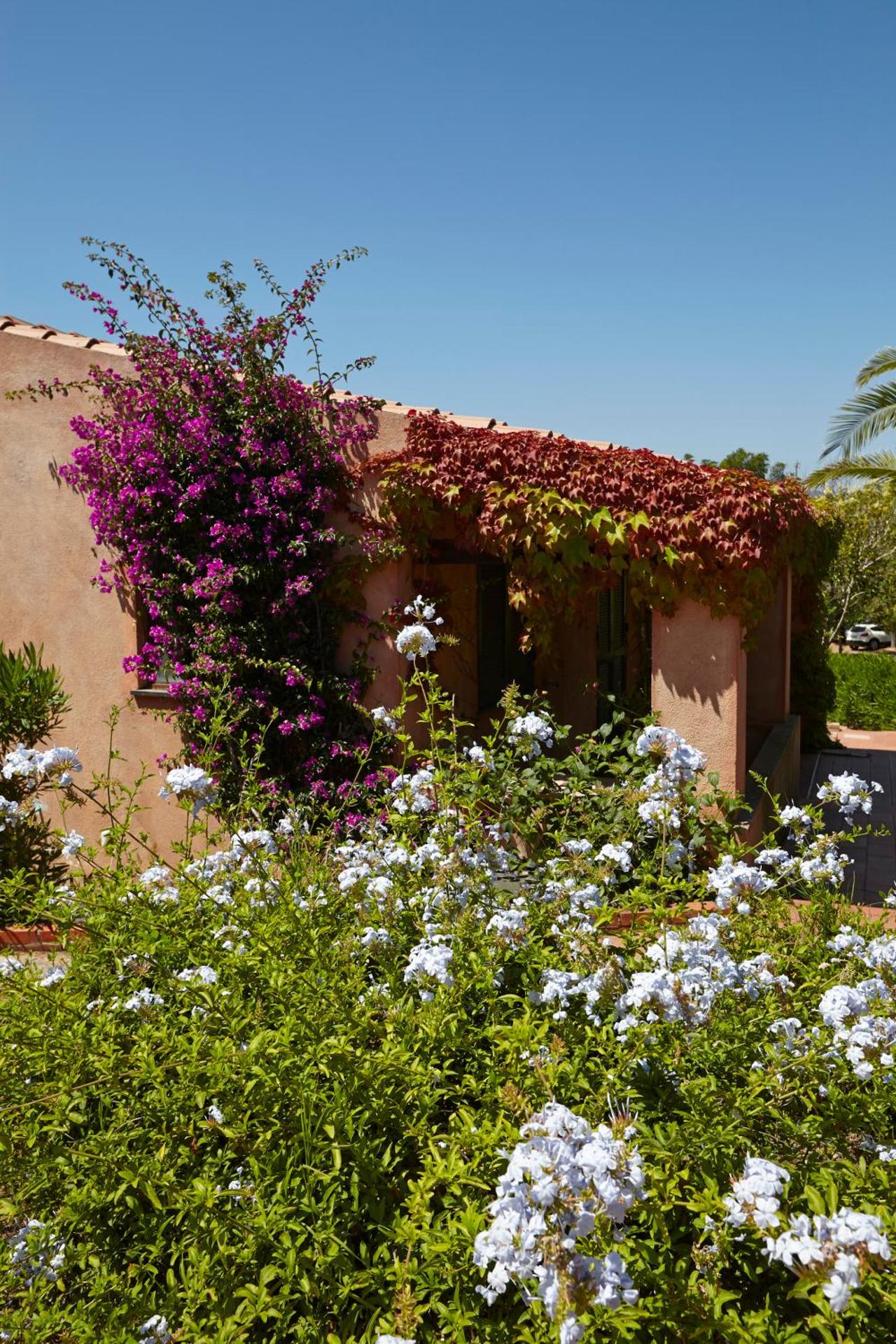 Residence Baia Salinedda - Photo 24