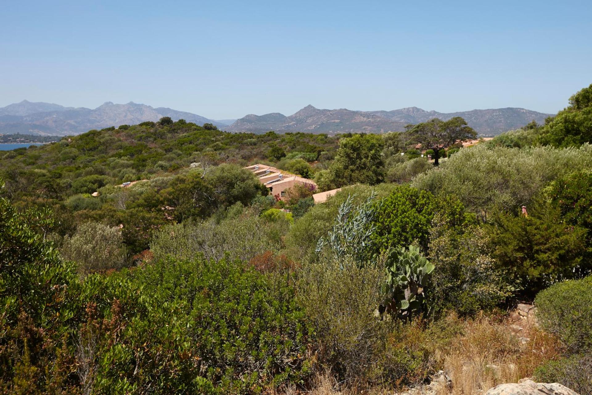 Residence Baia Salinedda - Photo 9