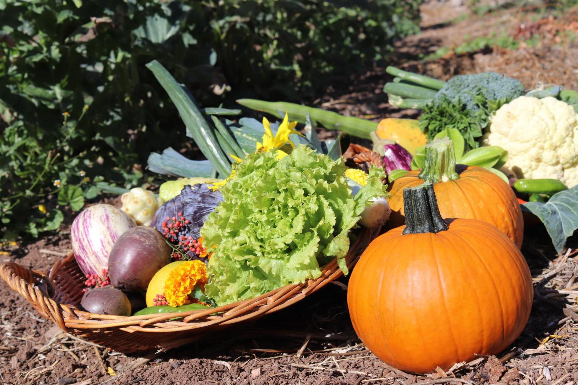 Hotel Jardín Tecina - Photo 64