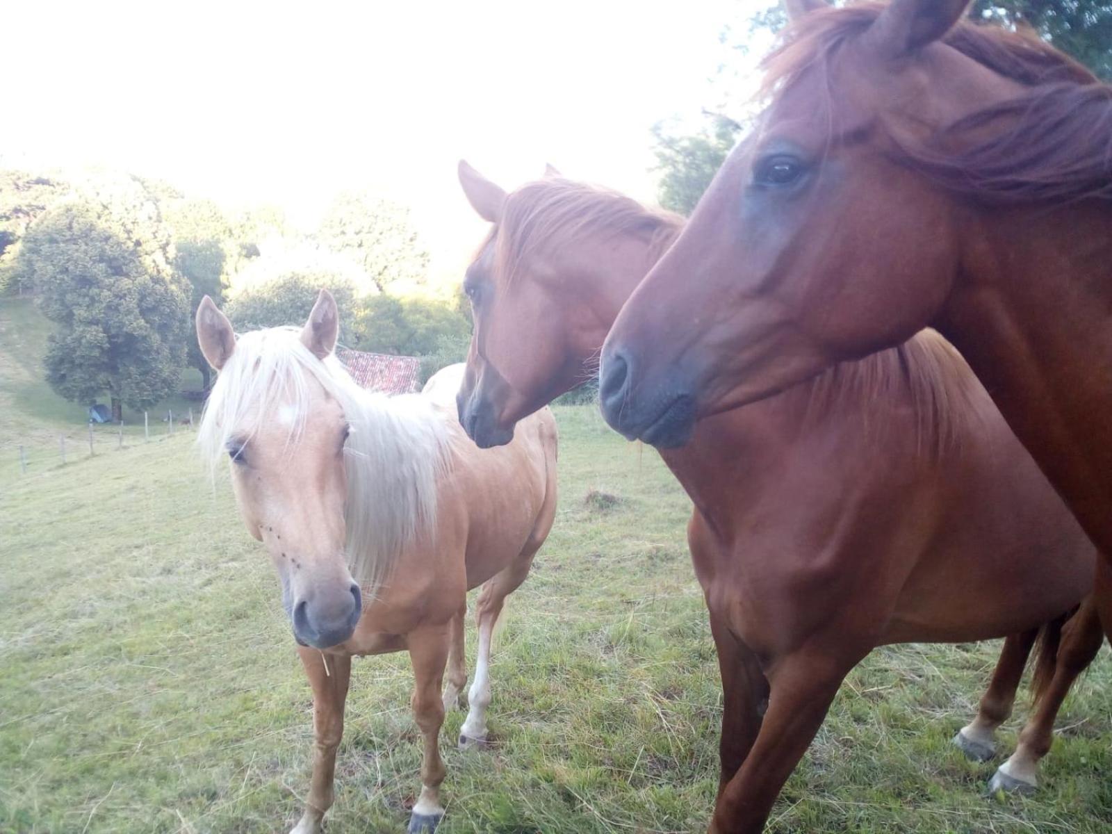 Cascina del Sole - Photo 12