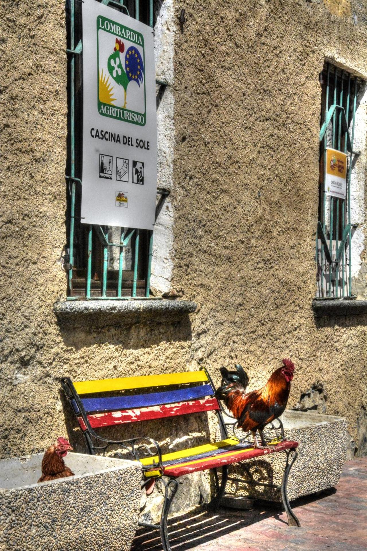 Family Room - Photo 4