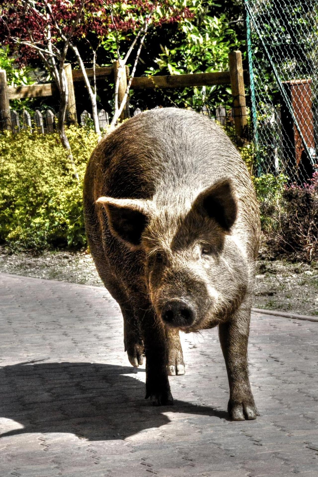 Single Bed in 6-Bed Dormitory Room - Photo 4