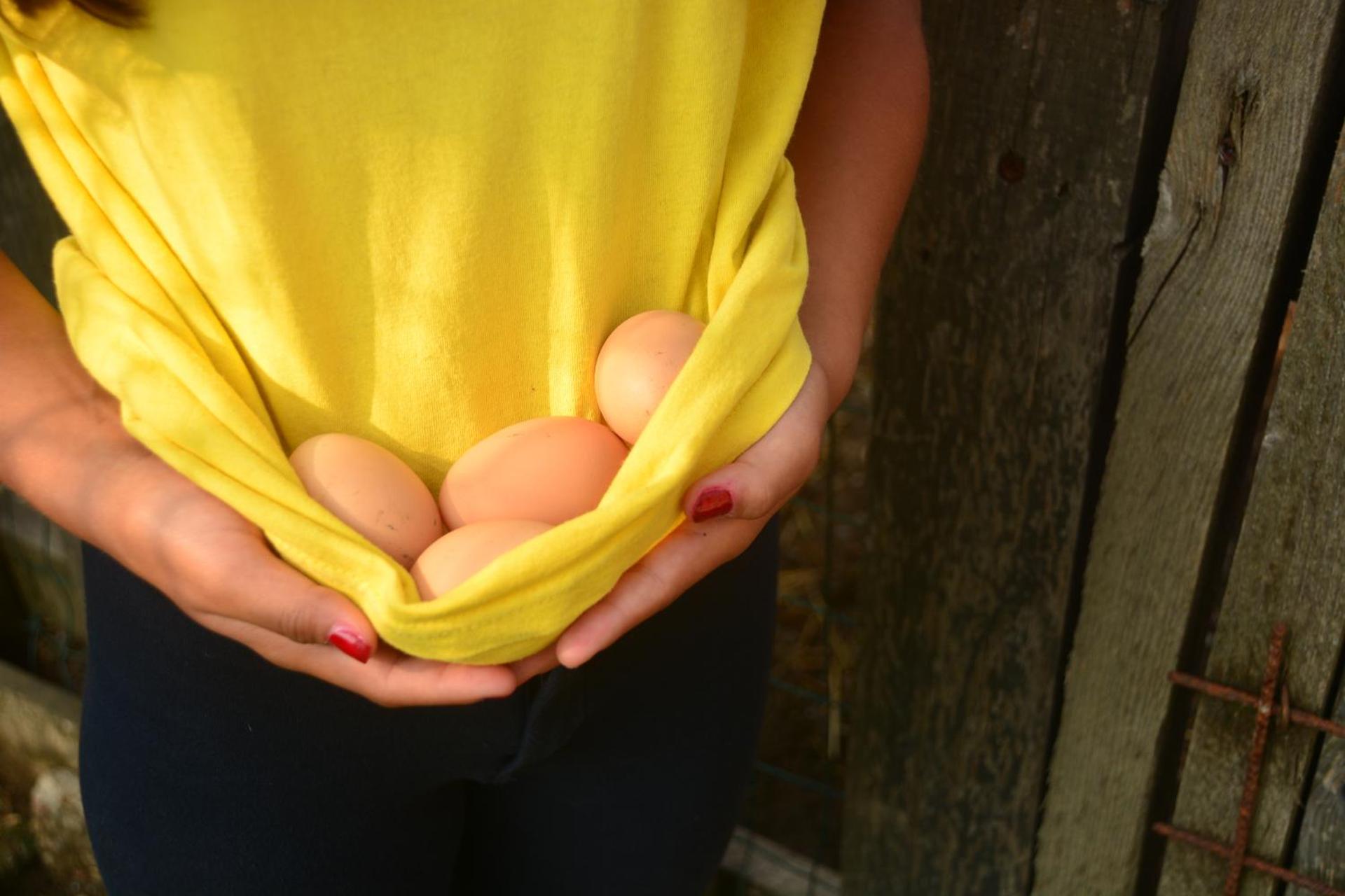 Cascina del Sole - Photo 10