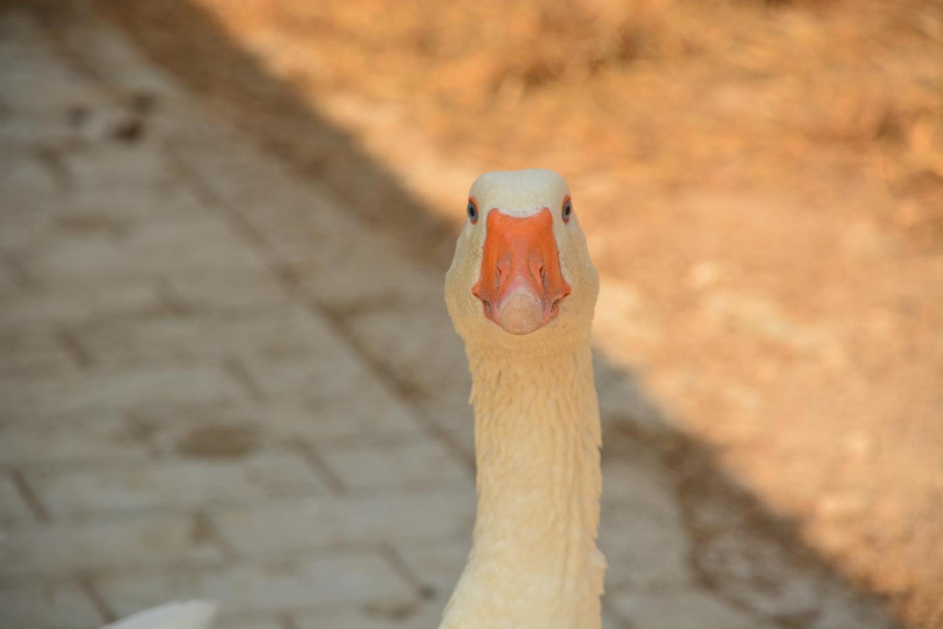 Cascina del Sole - Photo 14