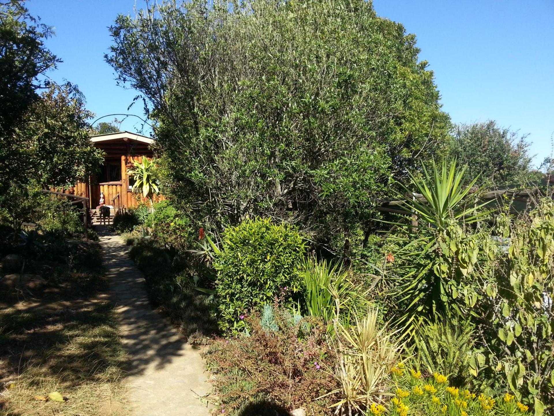 Veki's Village Cottages - Photo 29