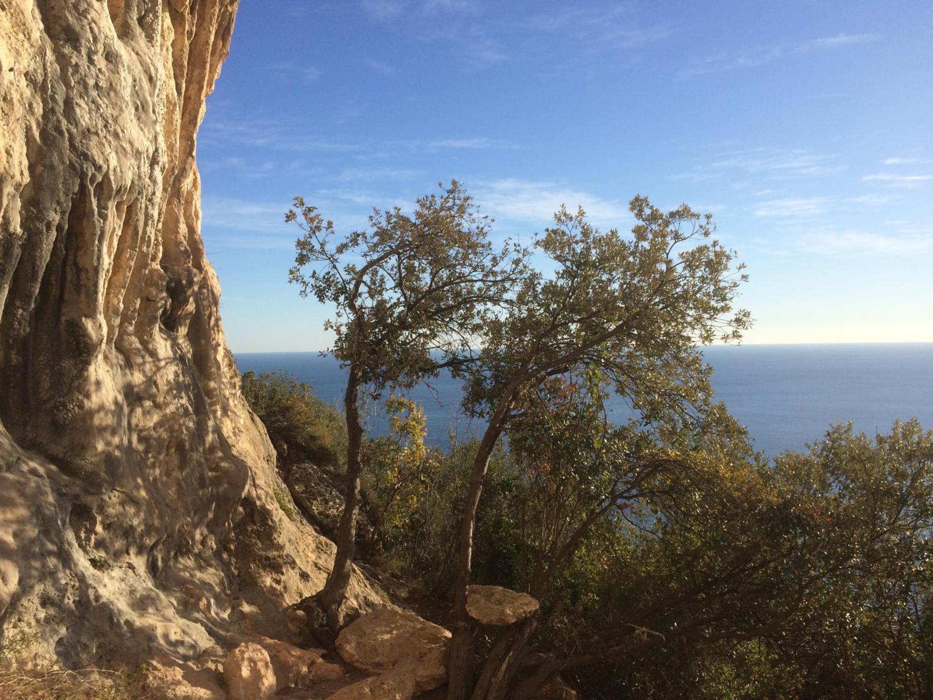 Residence Holidays - Photo 223