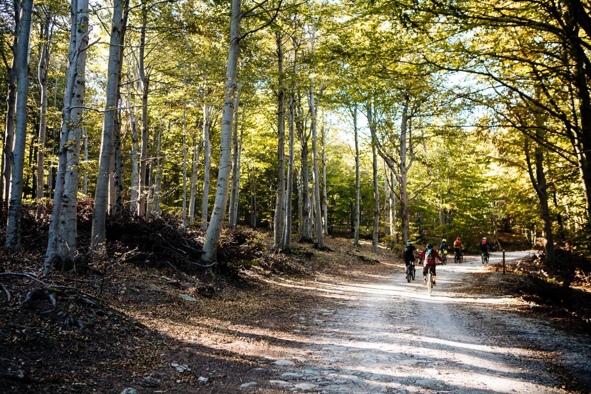 Residence Holidays - Photo 221