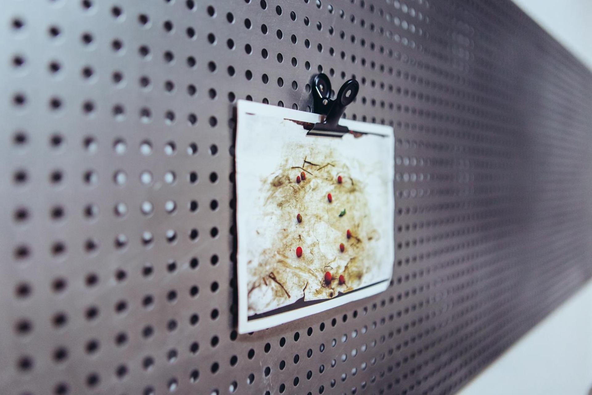 we saw athens - Photo 95