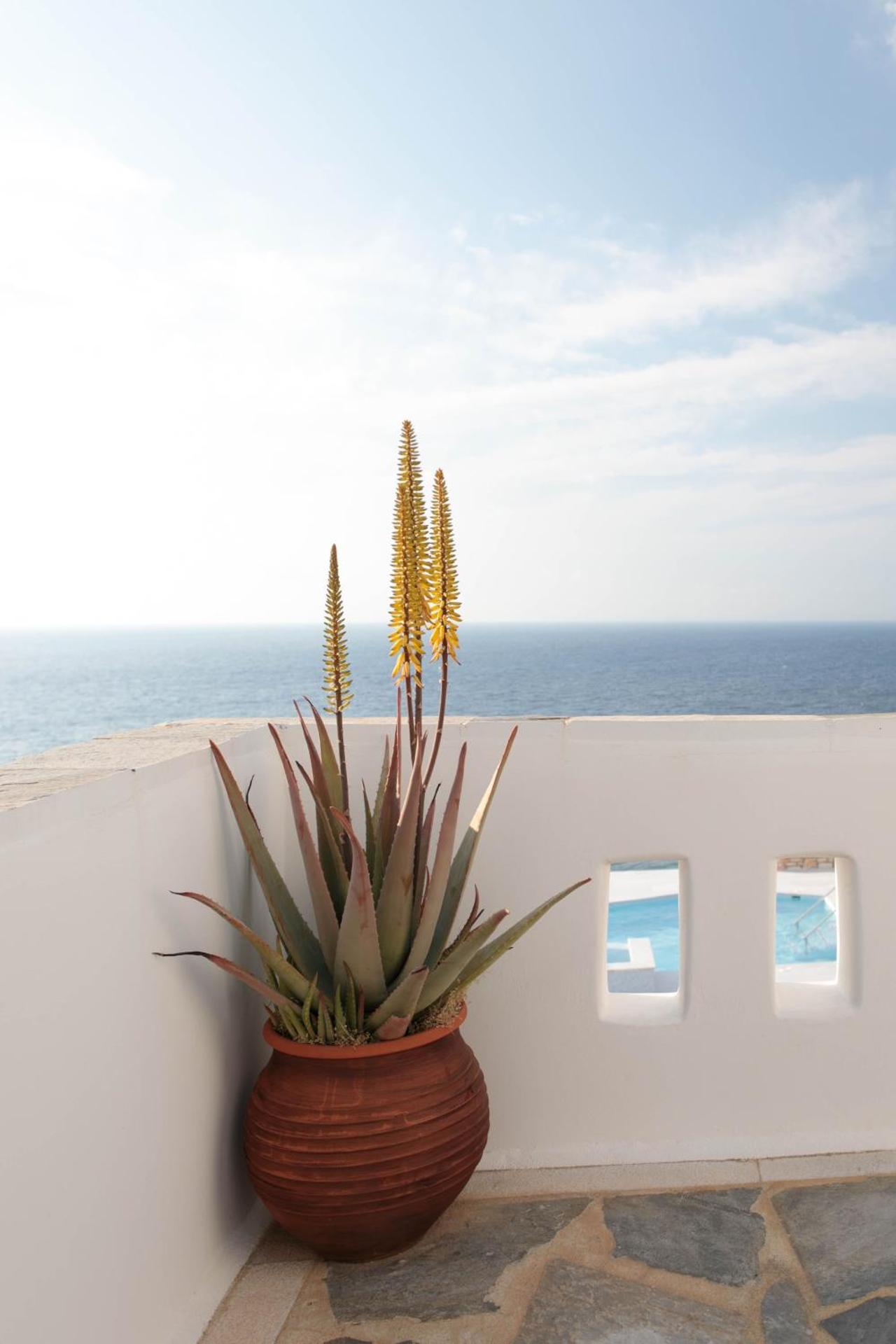 Villa Athina - Photo 178