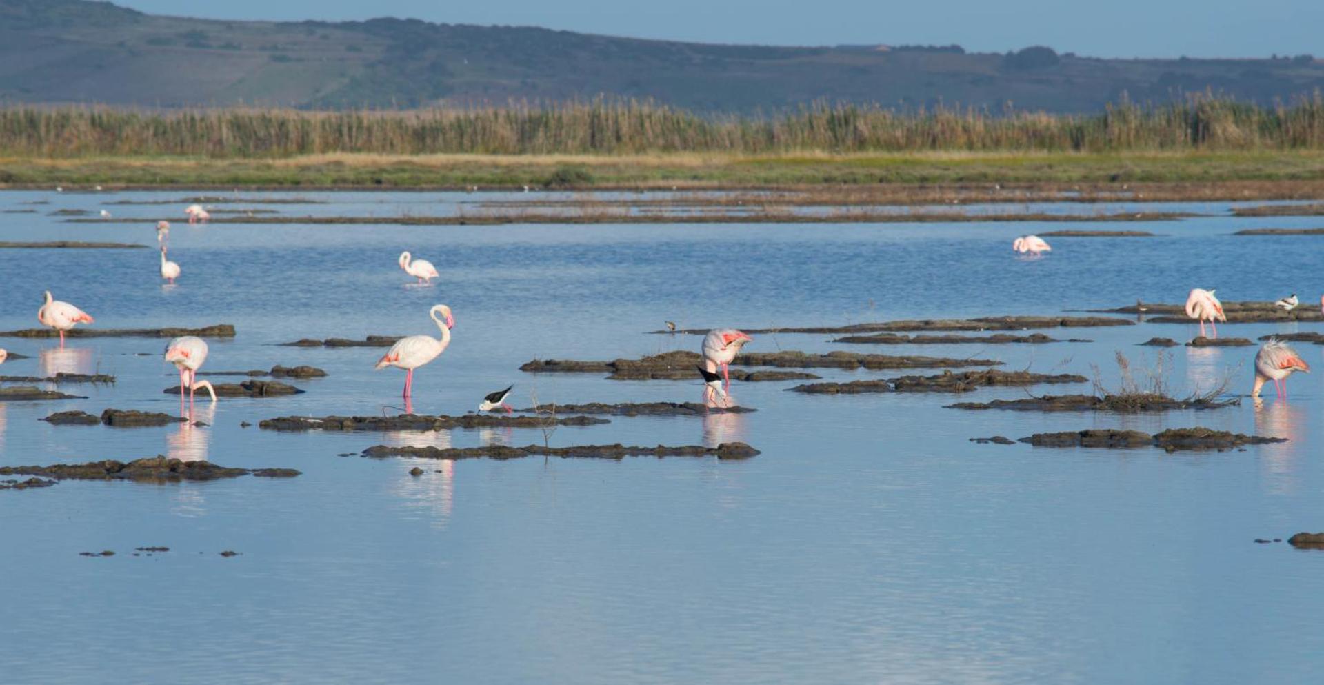 Hotel Villa Canu - Photo 33