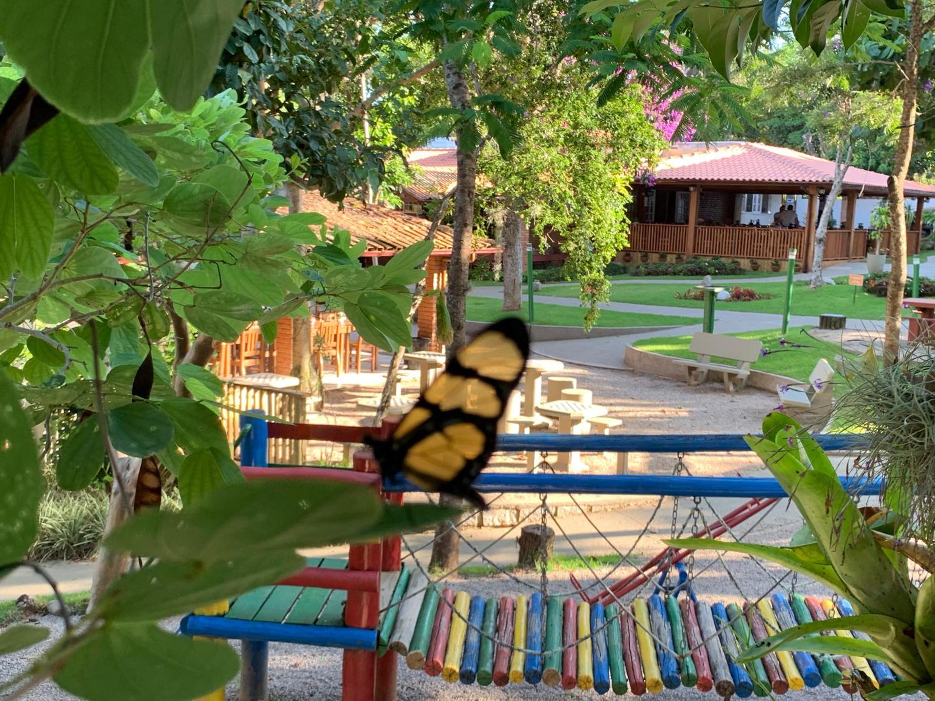 Hotel São Sebastião da Praia - Photo 66
