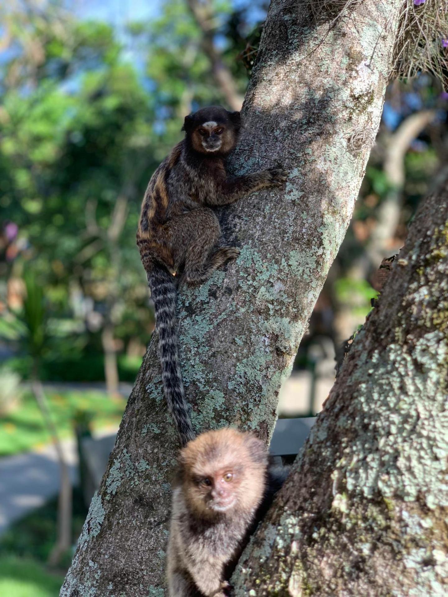 Hotel São Sebastião da Praia - Photo 103