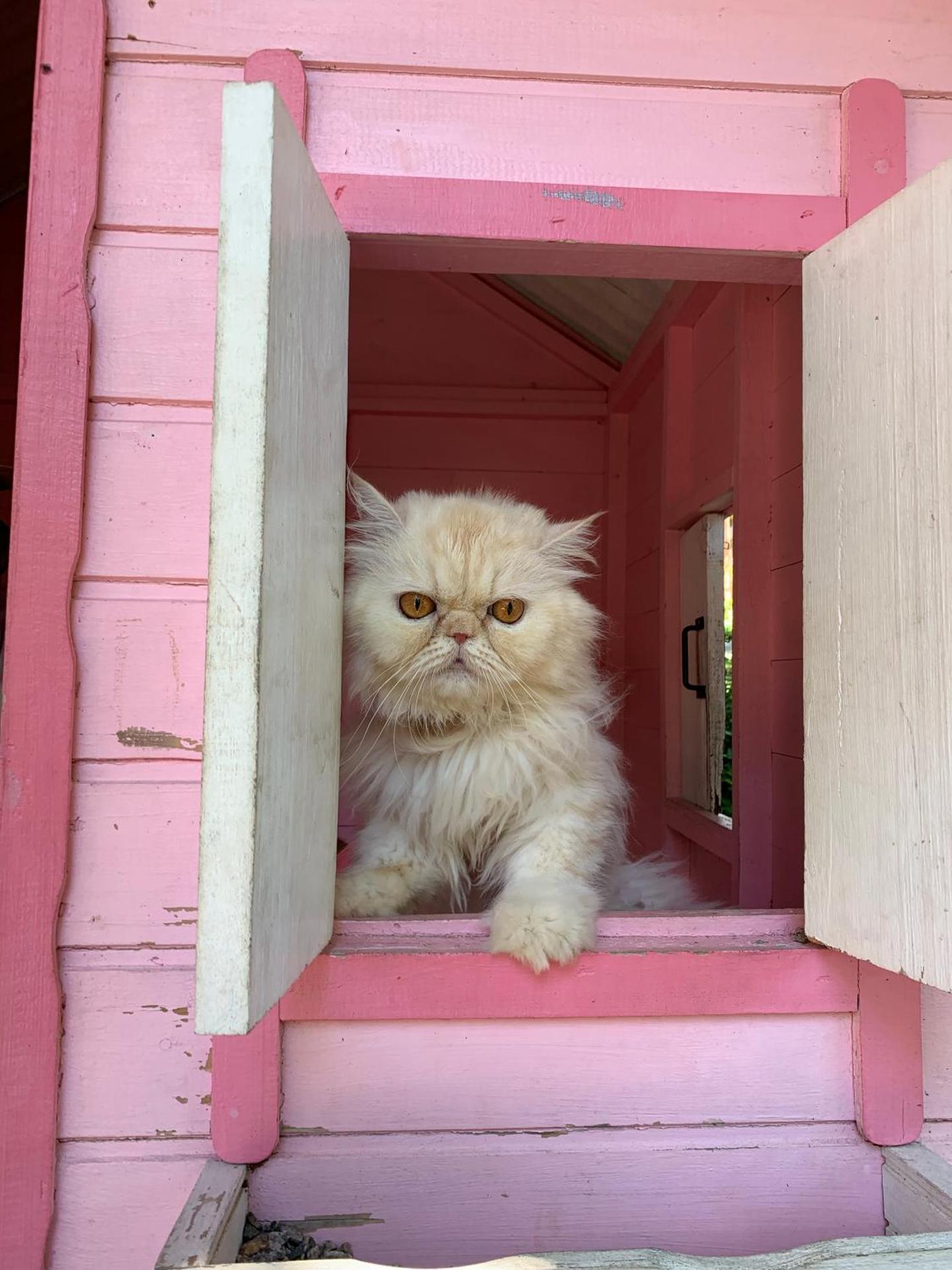 Hotel São Sebastião da Praia - Photo 108