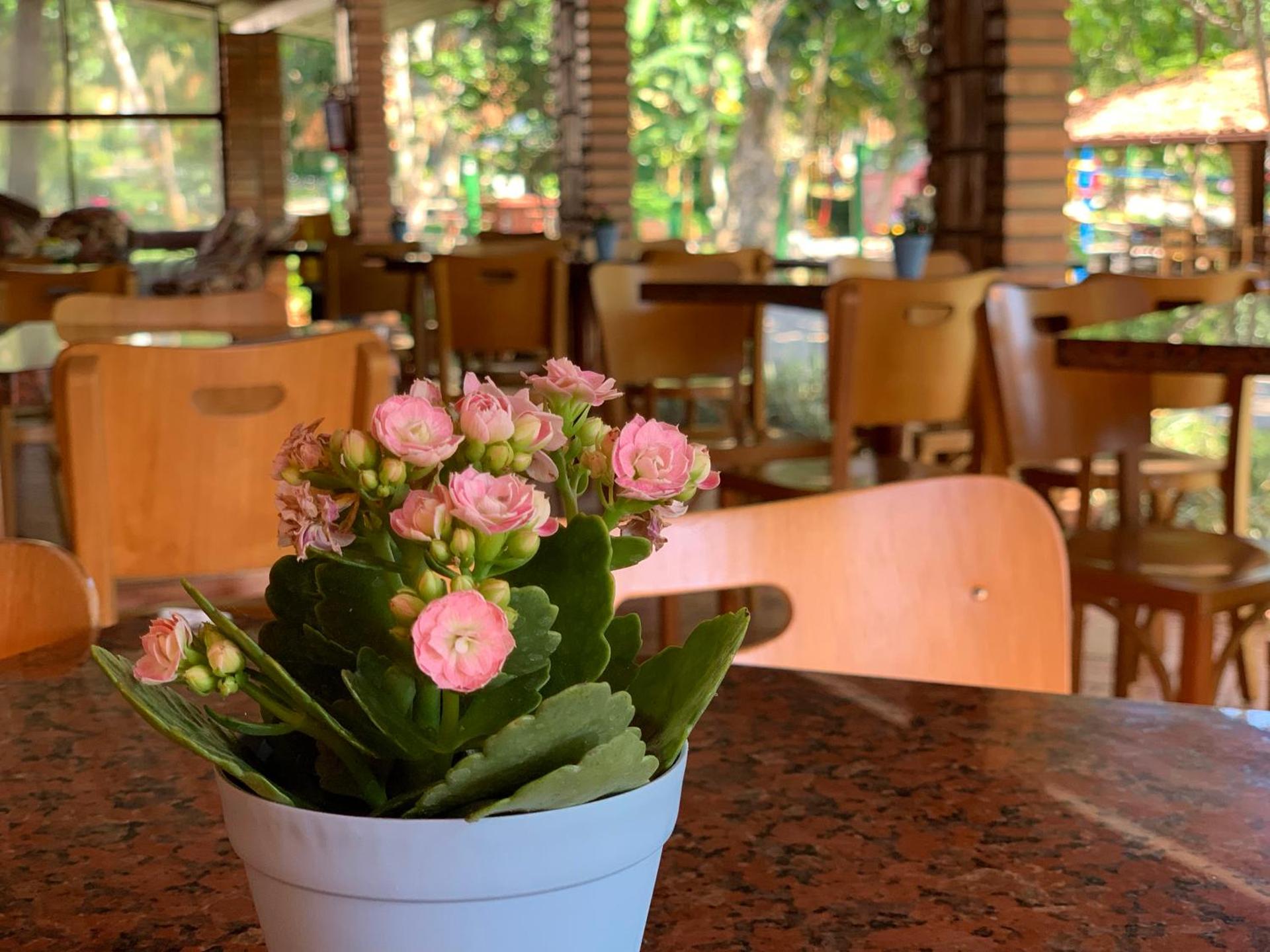 Hotel São Sebastião da Praia - Photo 78